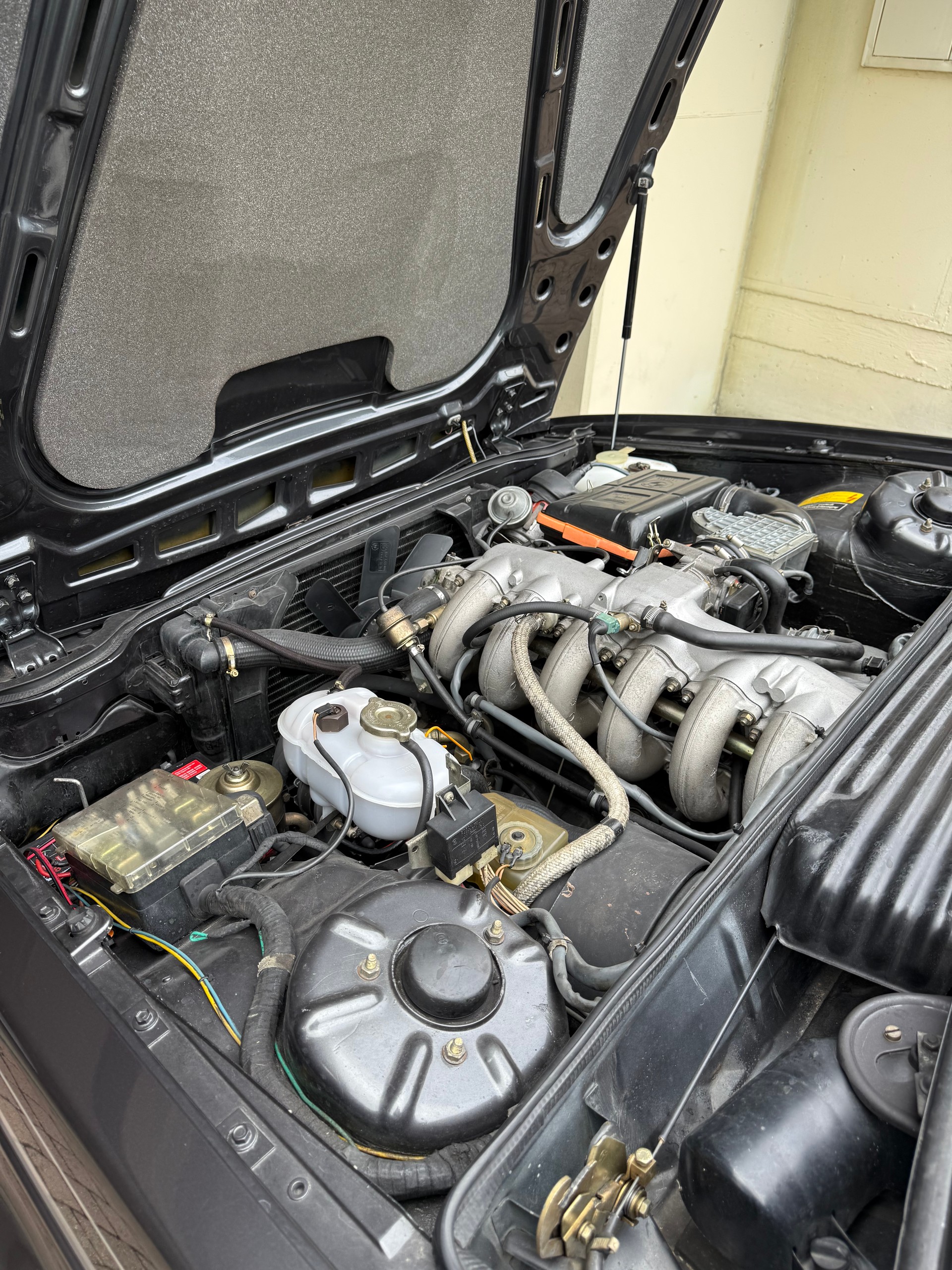BMW 635 CSI-image-4