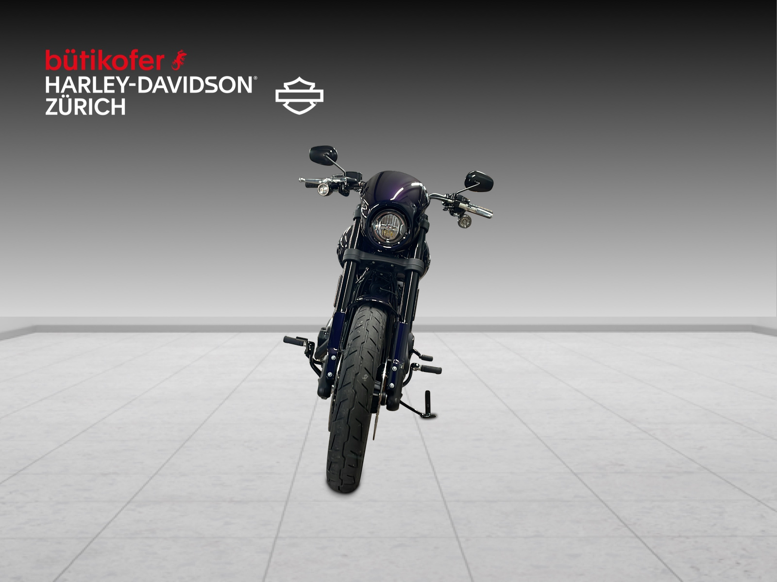 HARLEY-DAVIDSON FXLRS Low Rider S 117-image-2