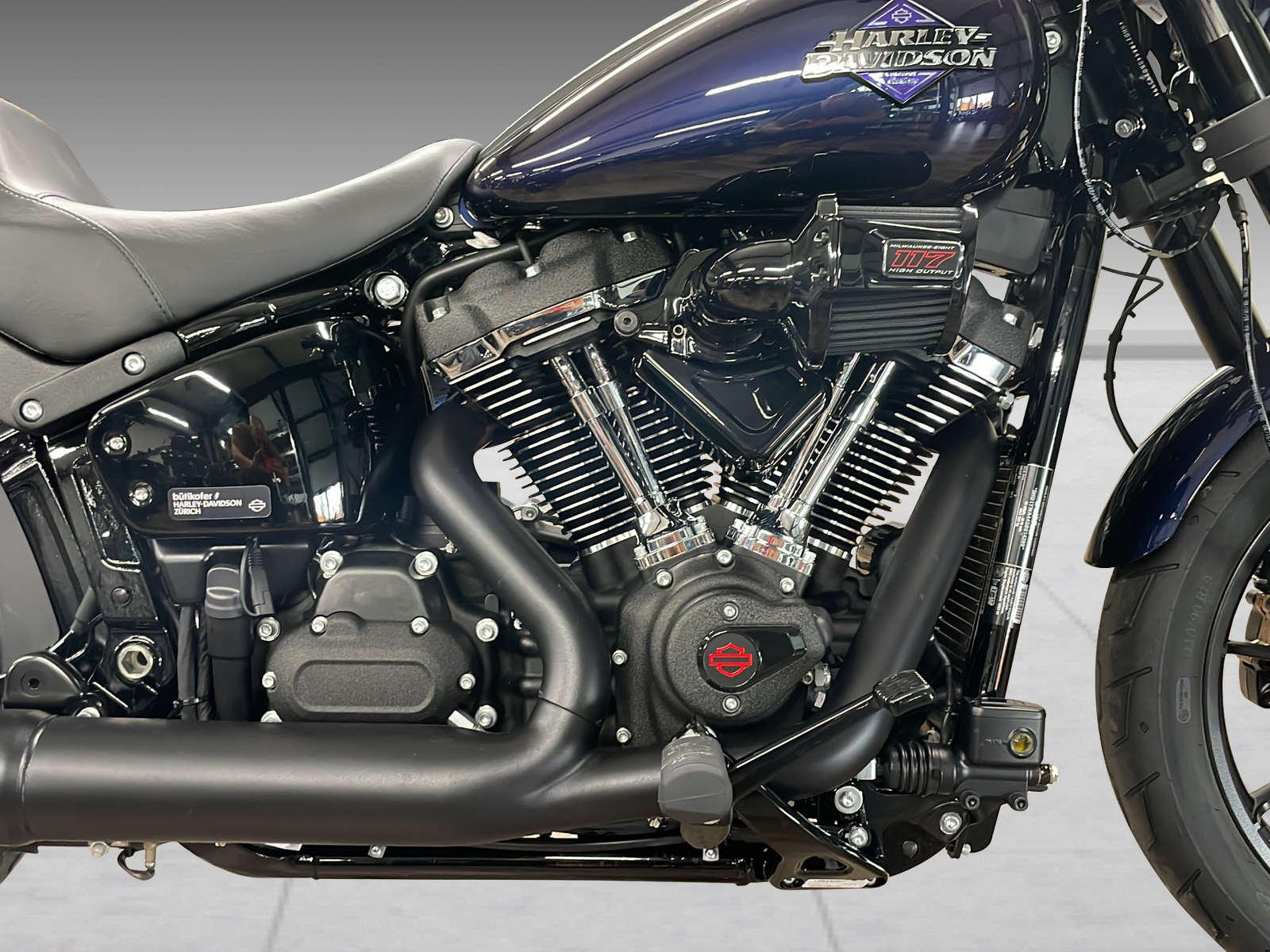 HARLEY-DAVIDSON FXLRS Low Rider S 117-image-9