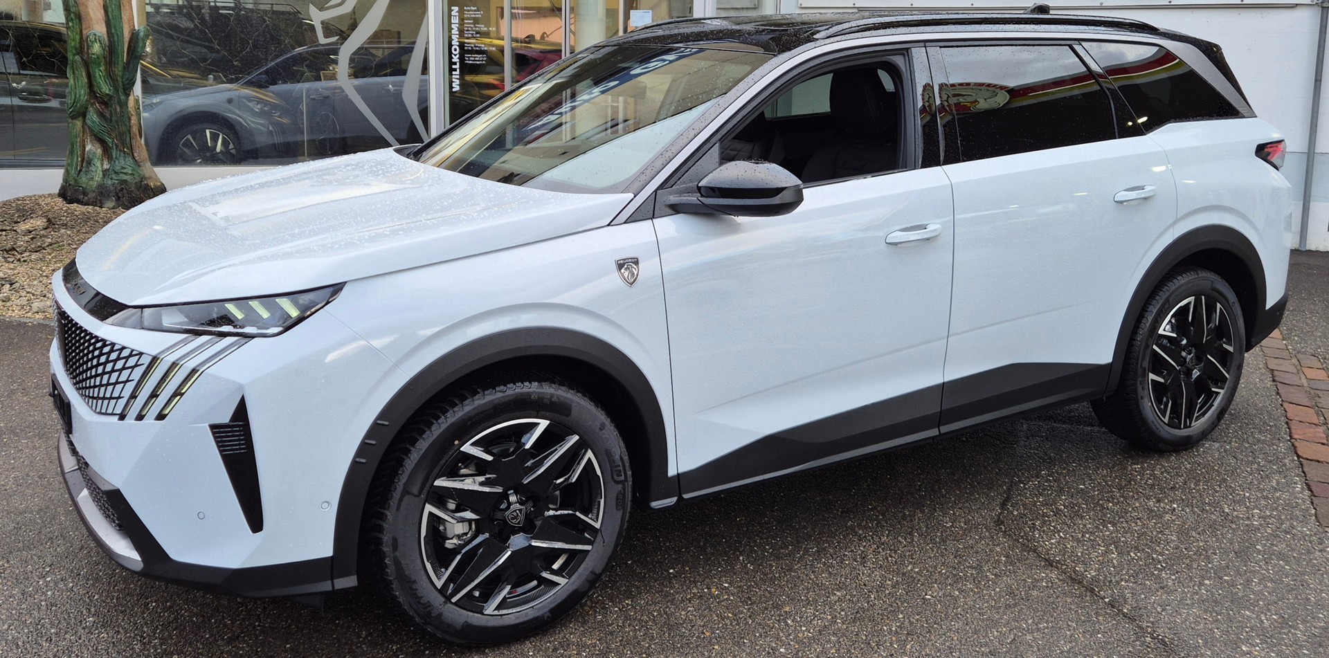 PEUGEOT 5008 4x4 GT Exclusive / Helvetia-image-11