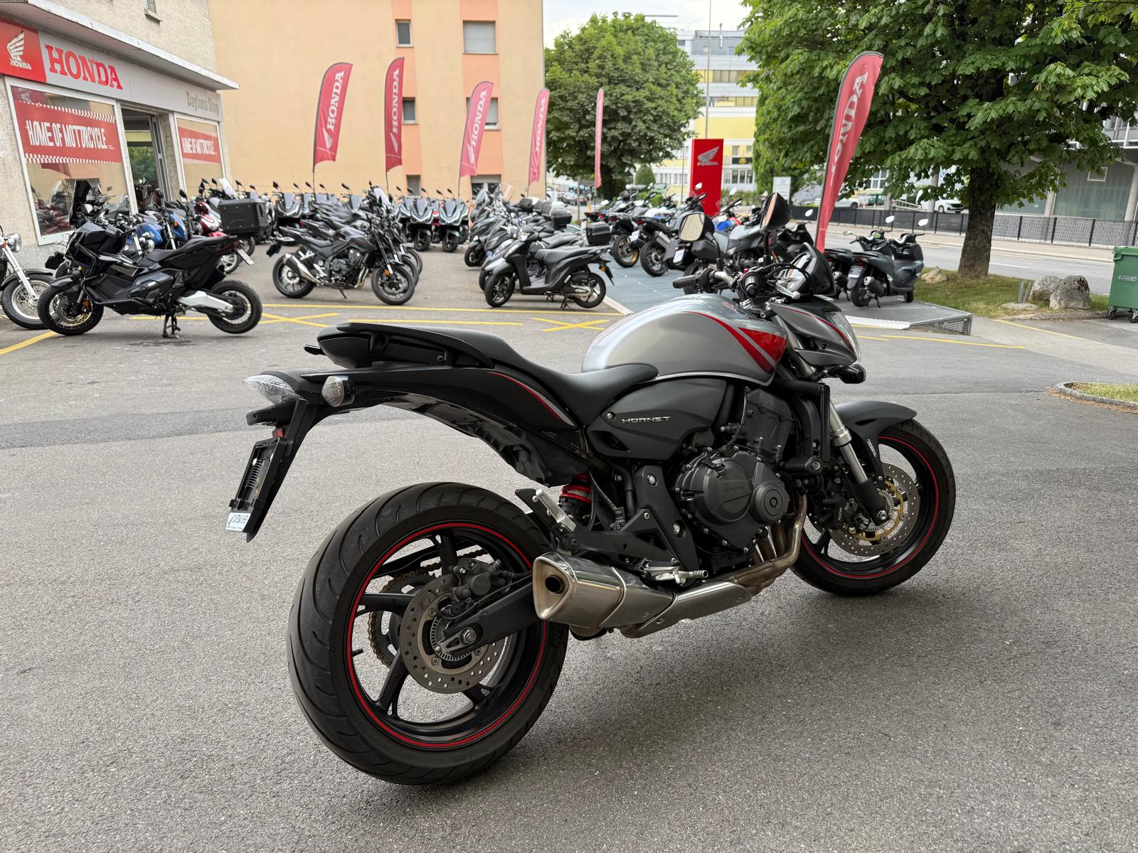 HONDA CB 600 F ABS Hornet-image-5