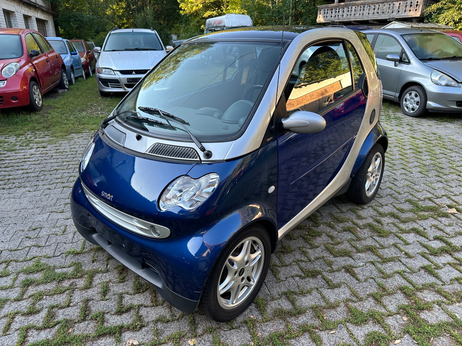 SMART fortwo passion FIXPREIS-showroom-element-3
