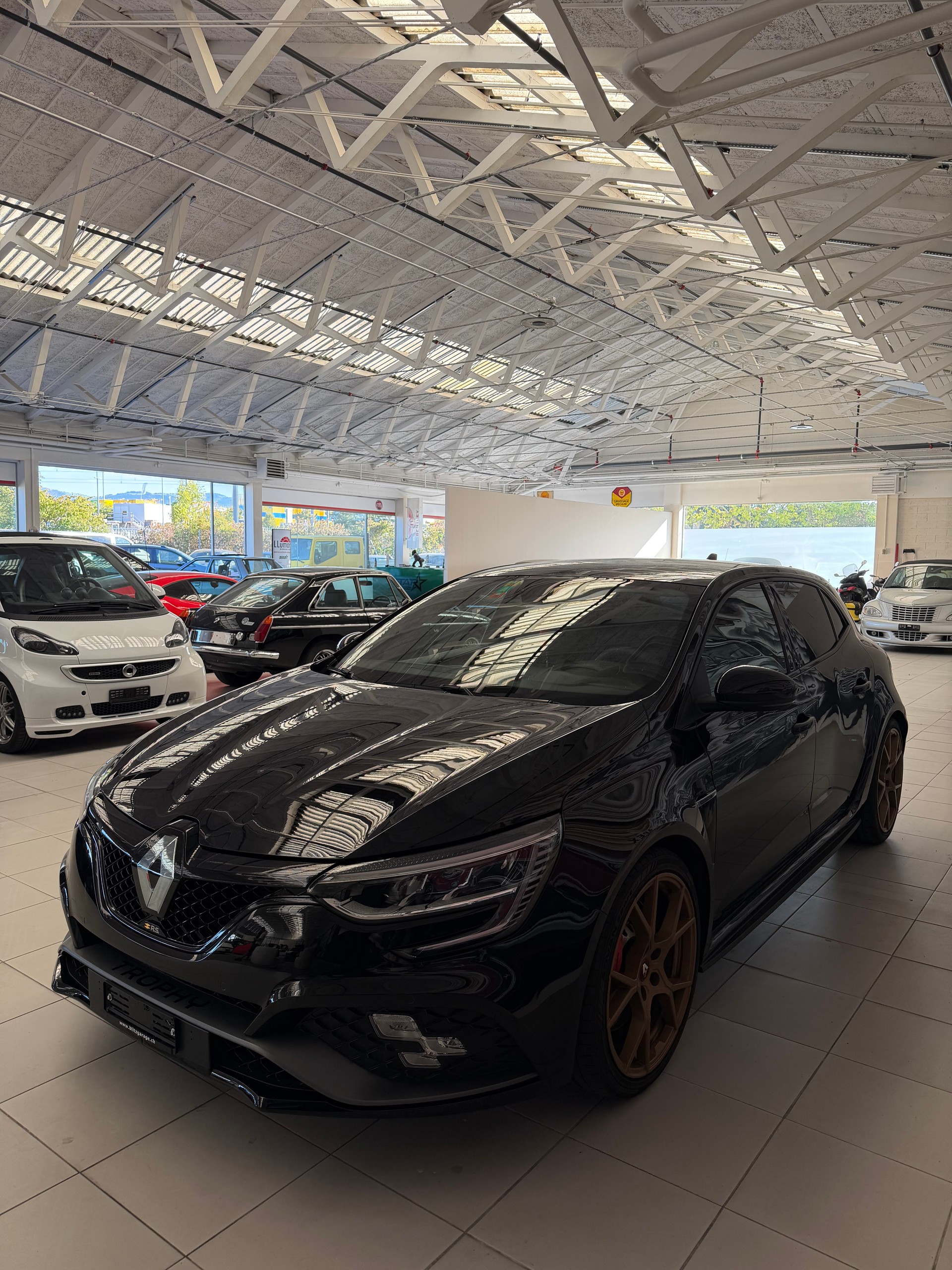 RENAULT Mégane Trophy 300 EDC-showroom-element-3