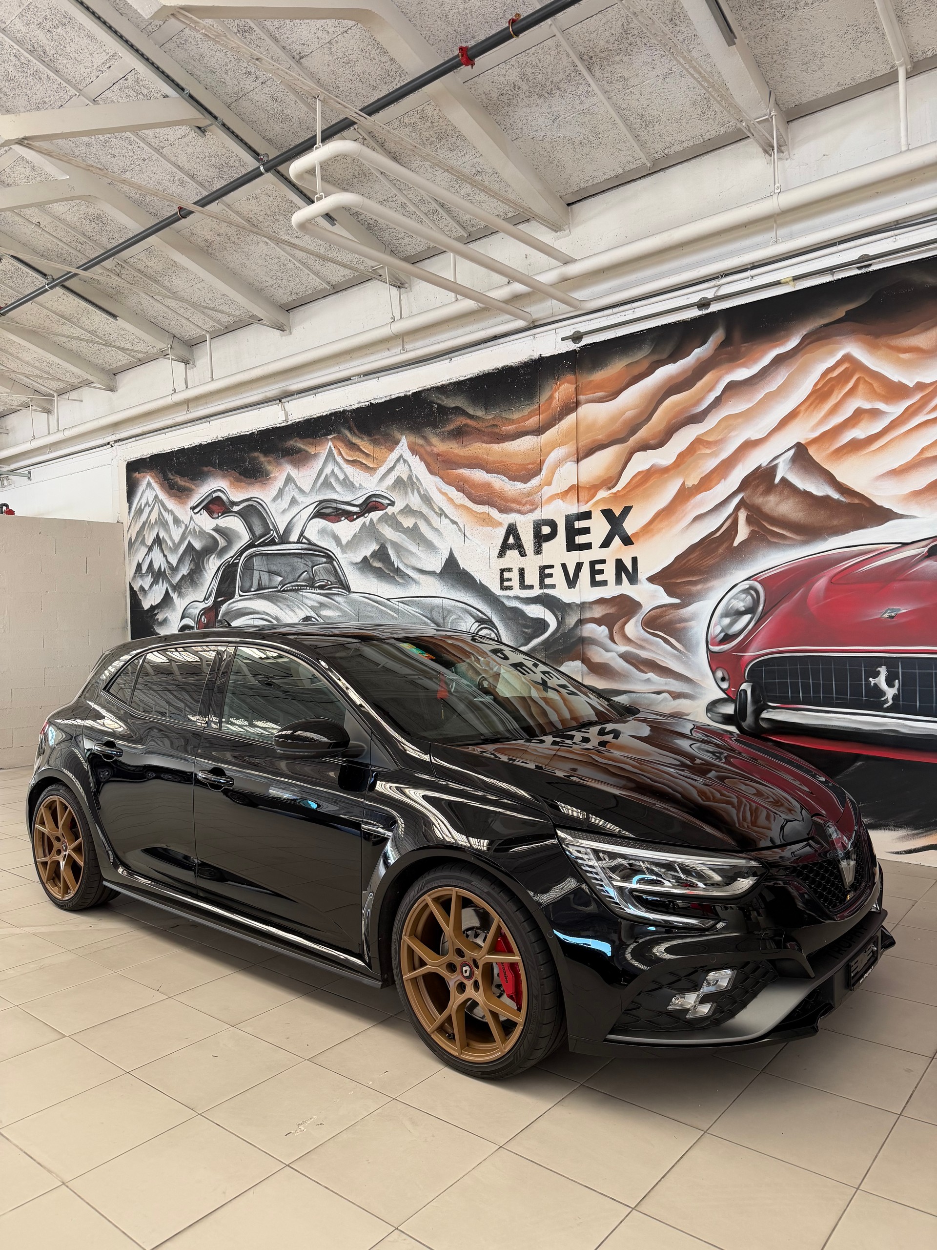 RENAULT Mégane Trophy 300 EDC-showroom-element-1