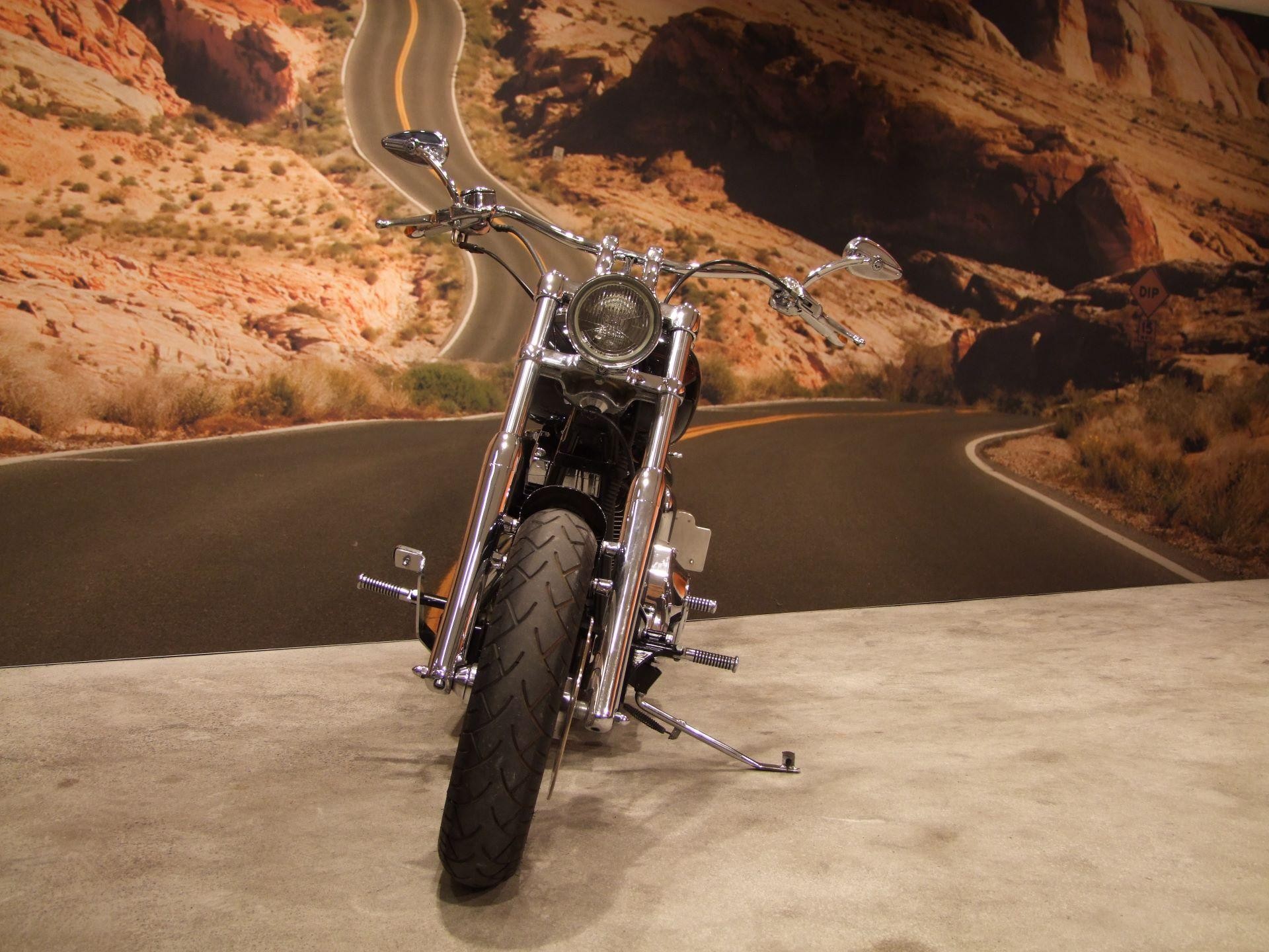 HARLEY-DAVIDSON FXSTD 1450 Softail Deuce-image-3