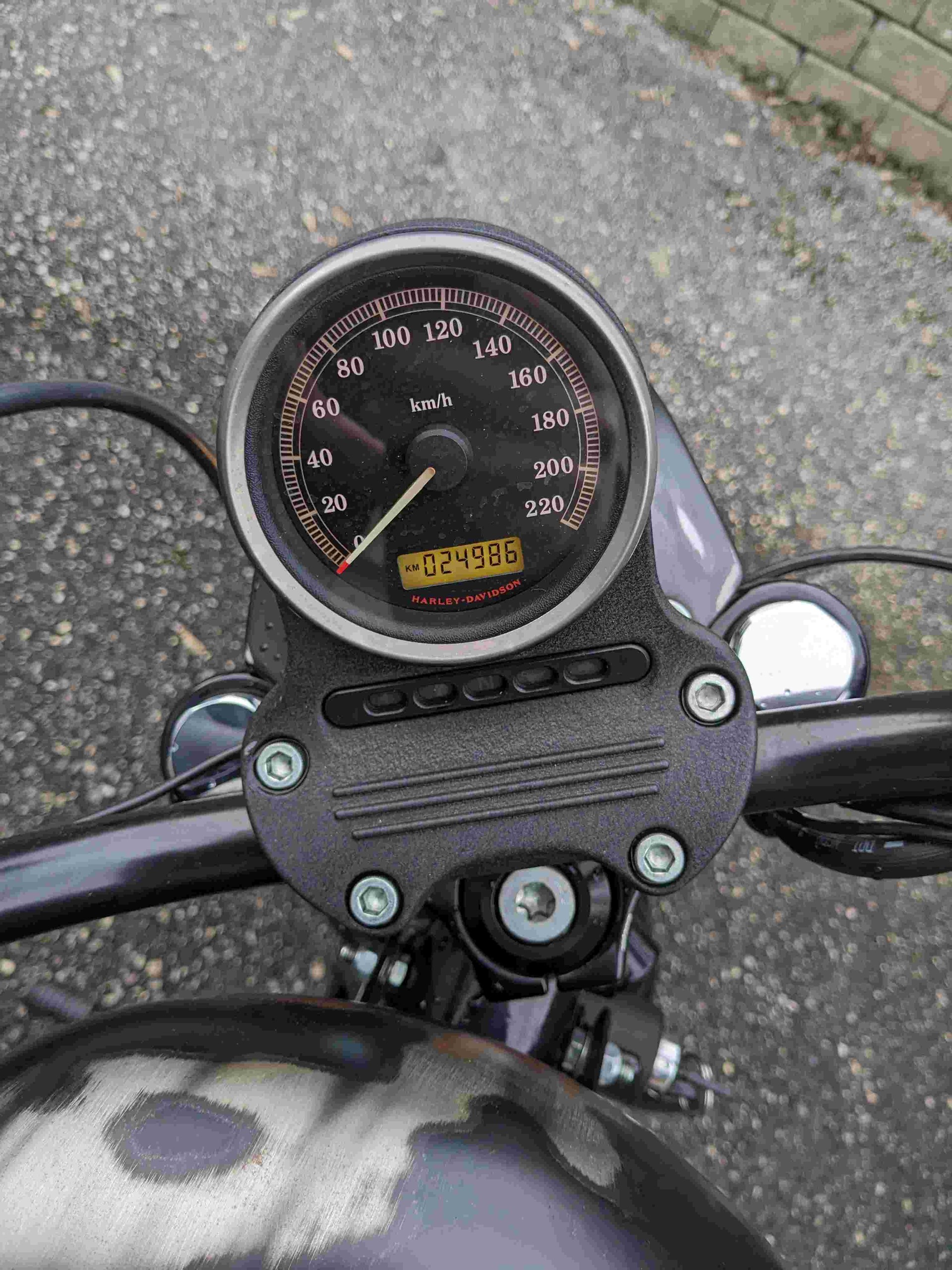 HARLEY-DAVIDSON XL 1200 N Sportster Nightster-image-4