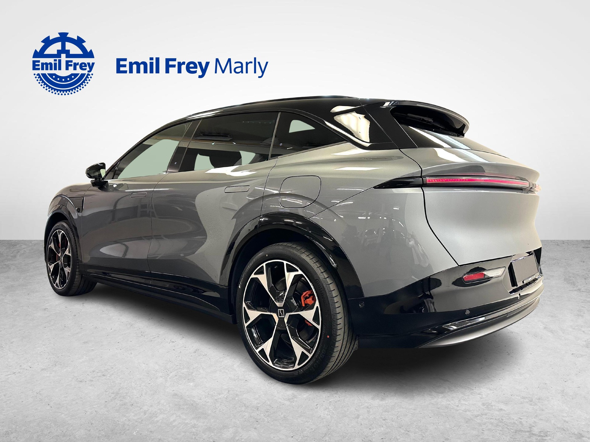 ZEEKR 7X Privilege AWD-showroom-element-2