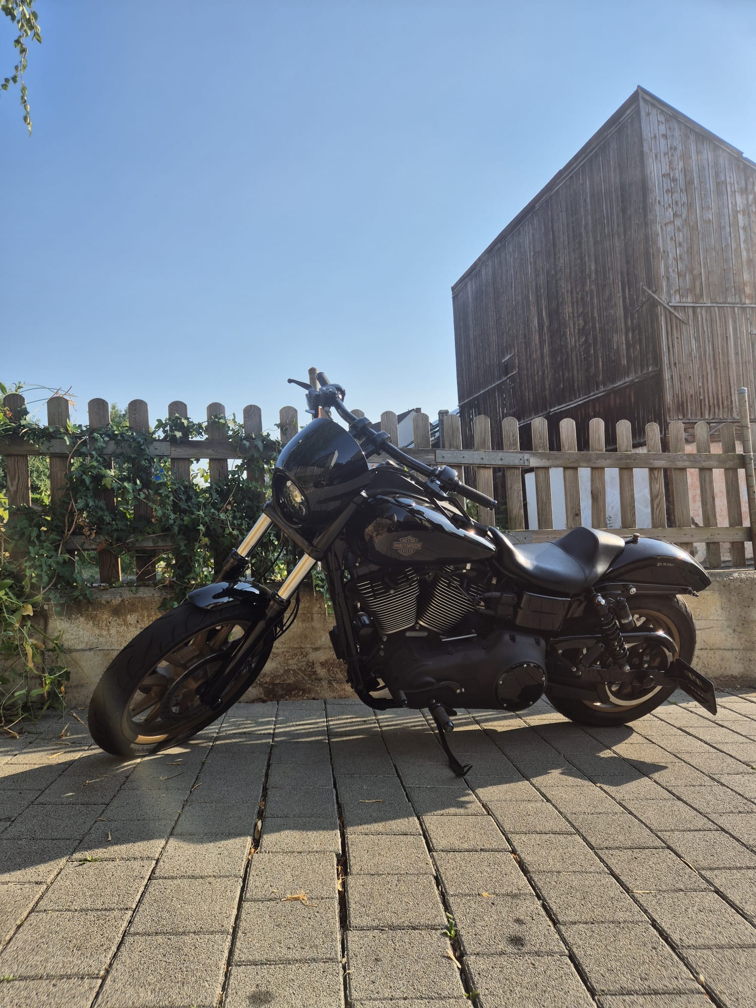 HARLEY-DAVIDSON FXDLS Dyna Low Rider S-image-0