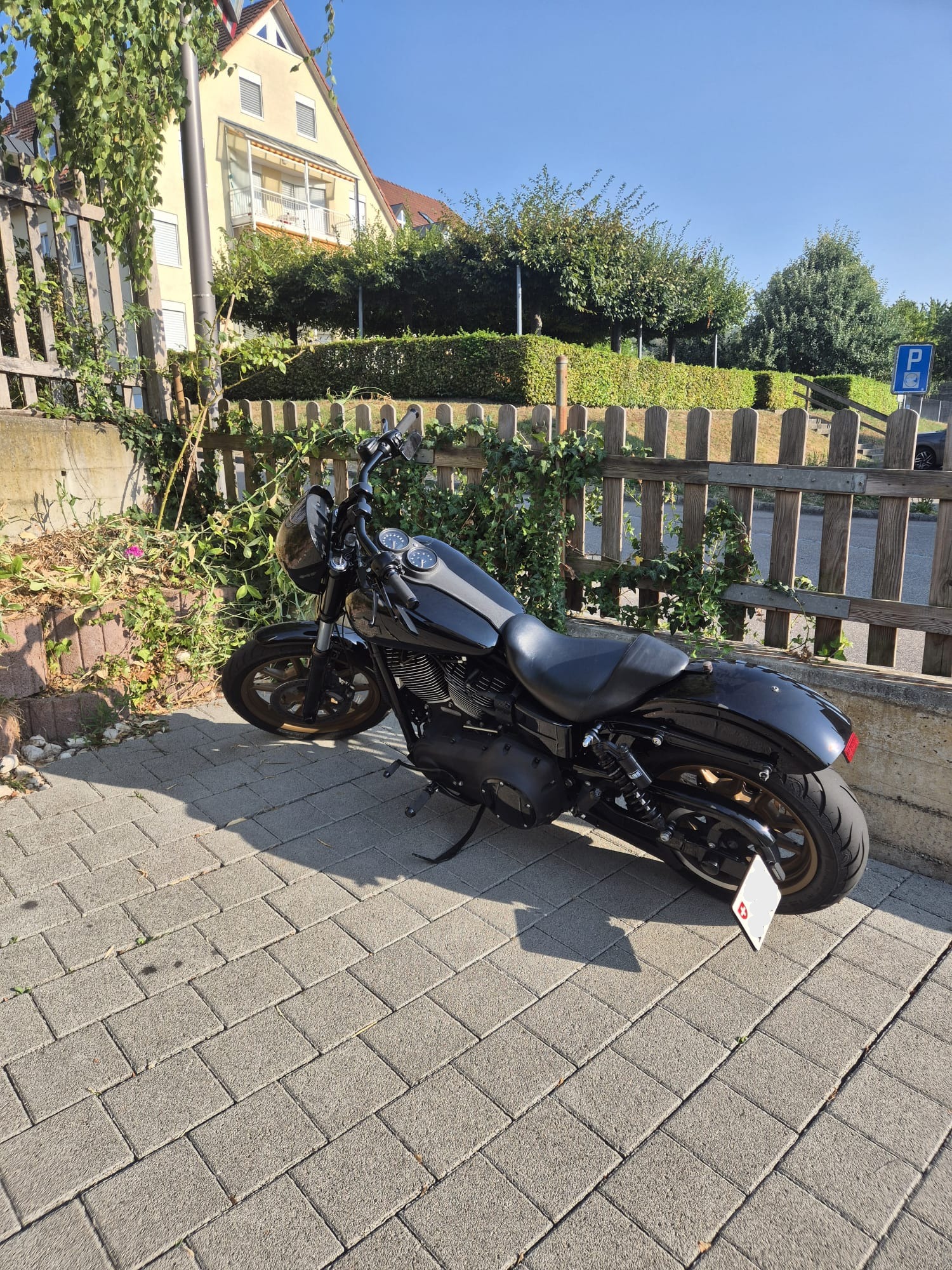 HARLEY-DAVIDSON FXDLS Dyna Low Rider S-image-1