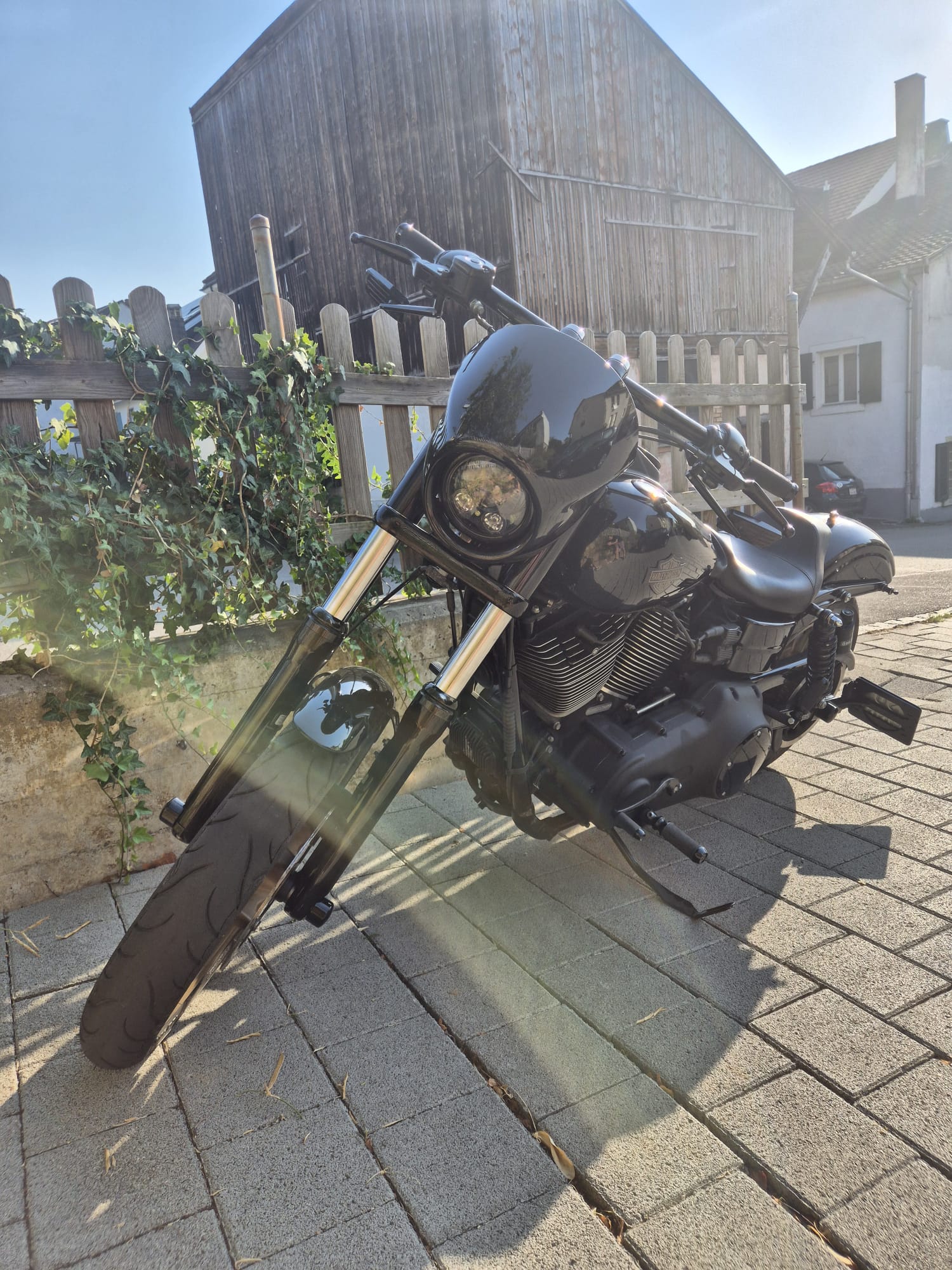 HARLEY-DAVIDSON FXDLS Dyna Low Rider S-image-5
