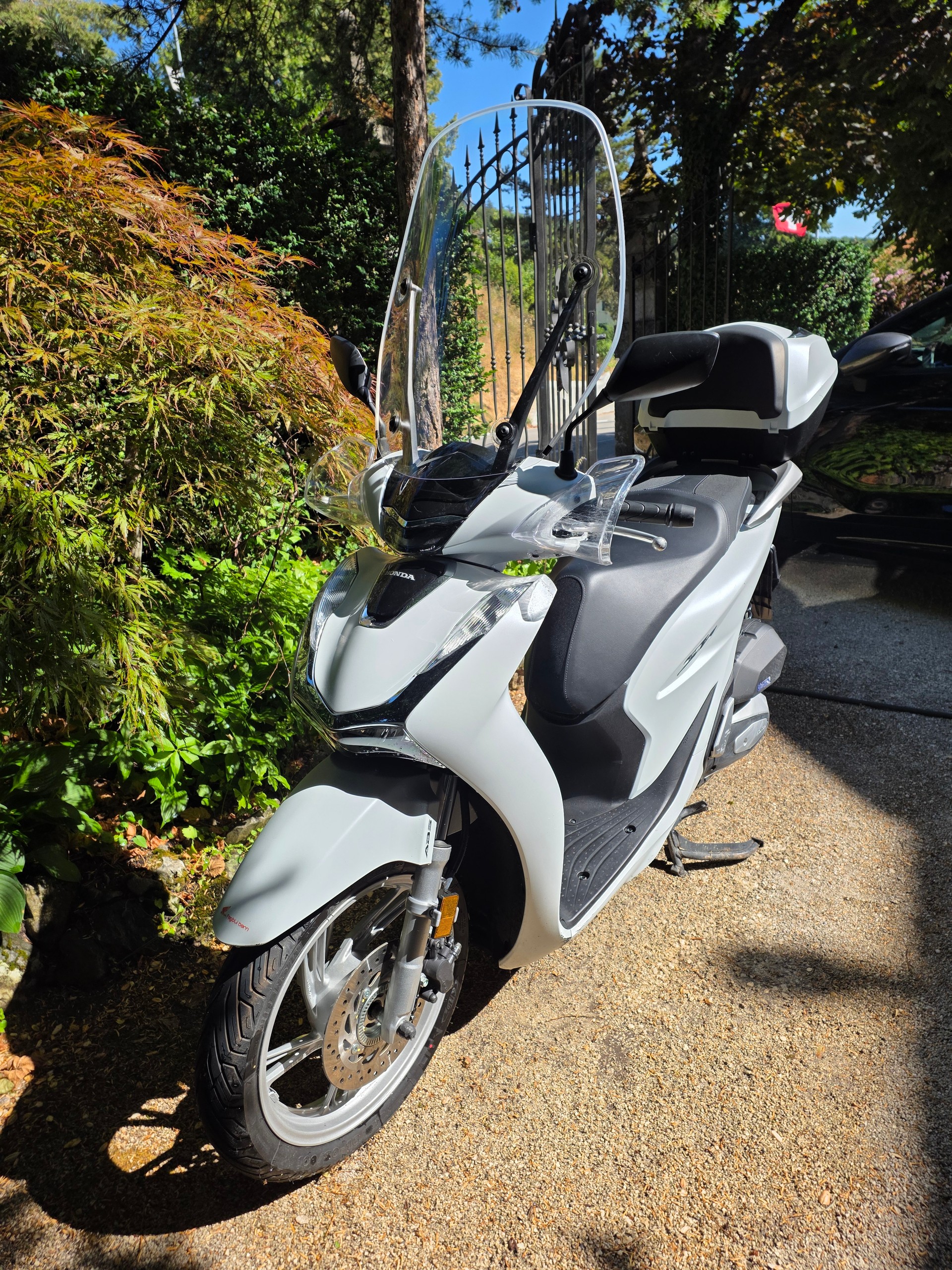 HONDA SH 125 + ADF-image-1