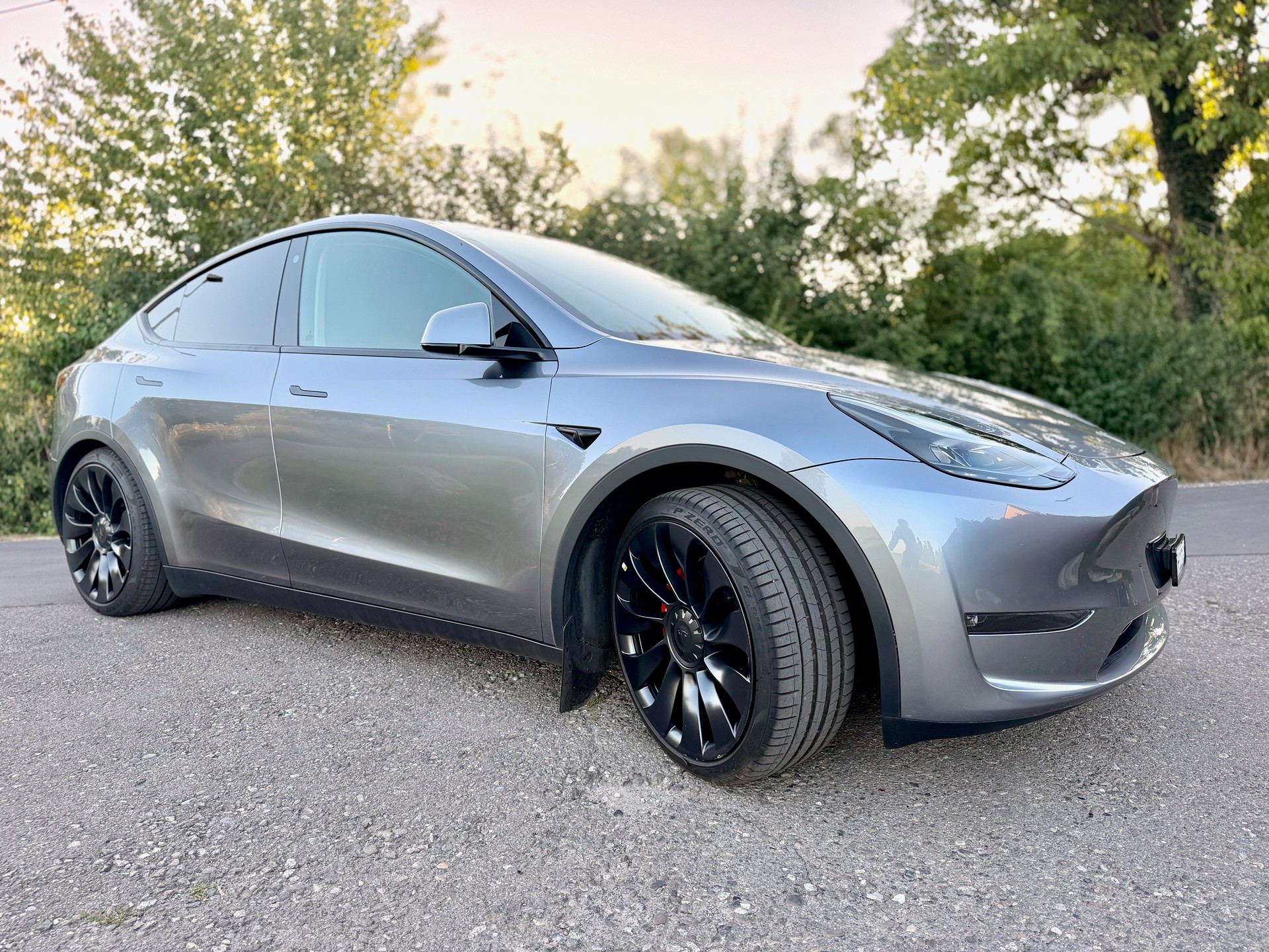 TESLA Performance D