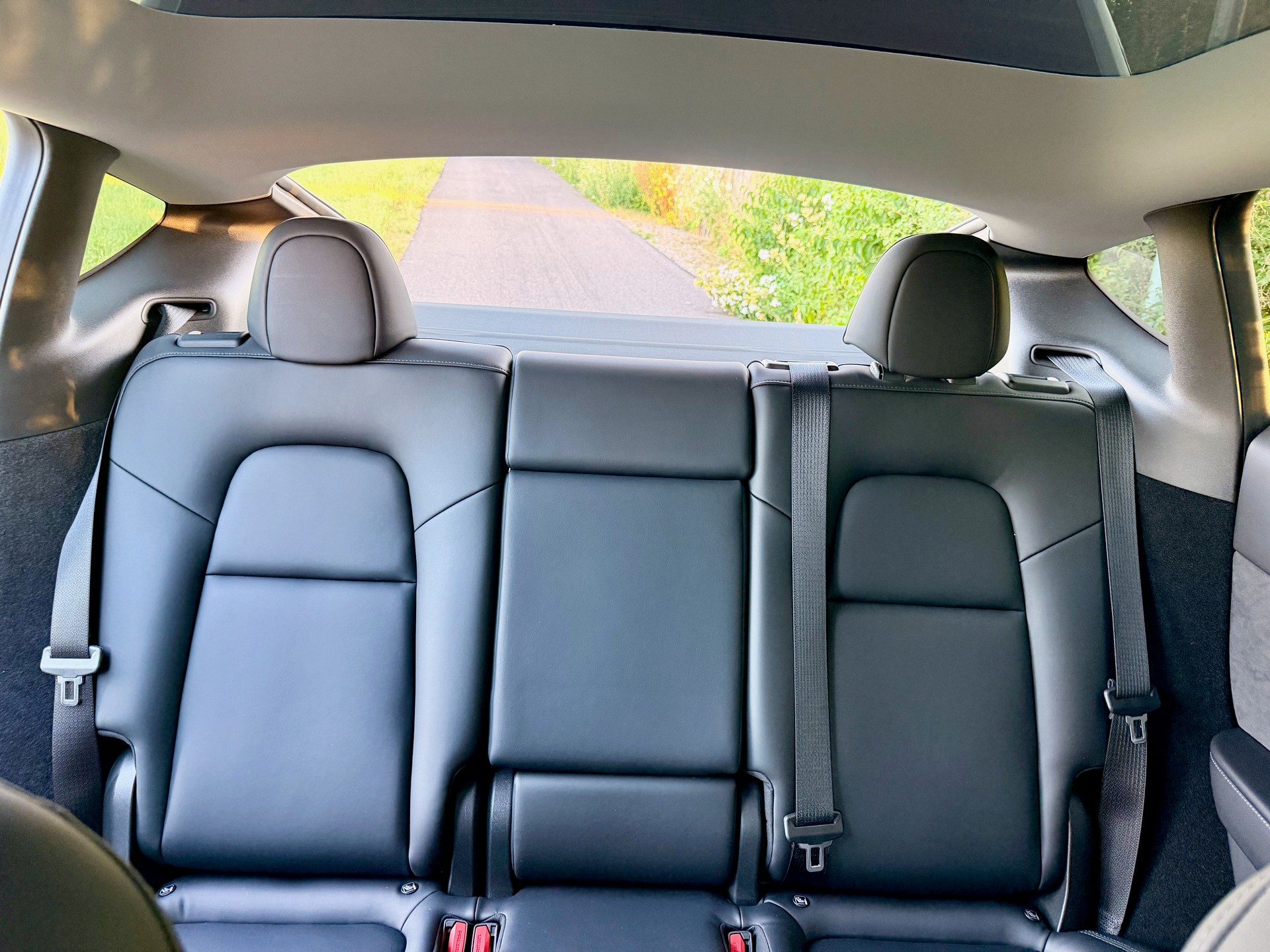 TESLA Performance D-image-5