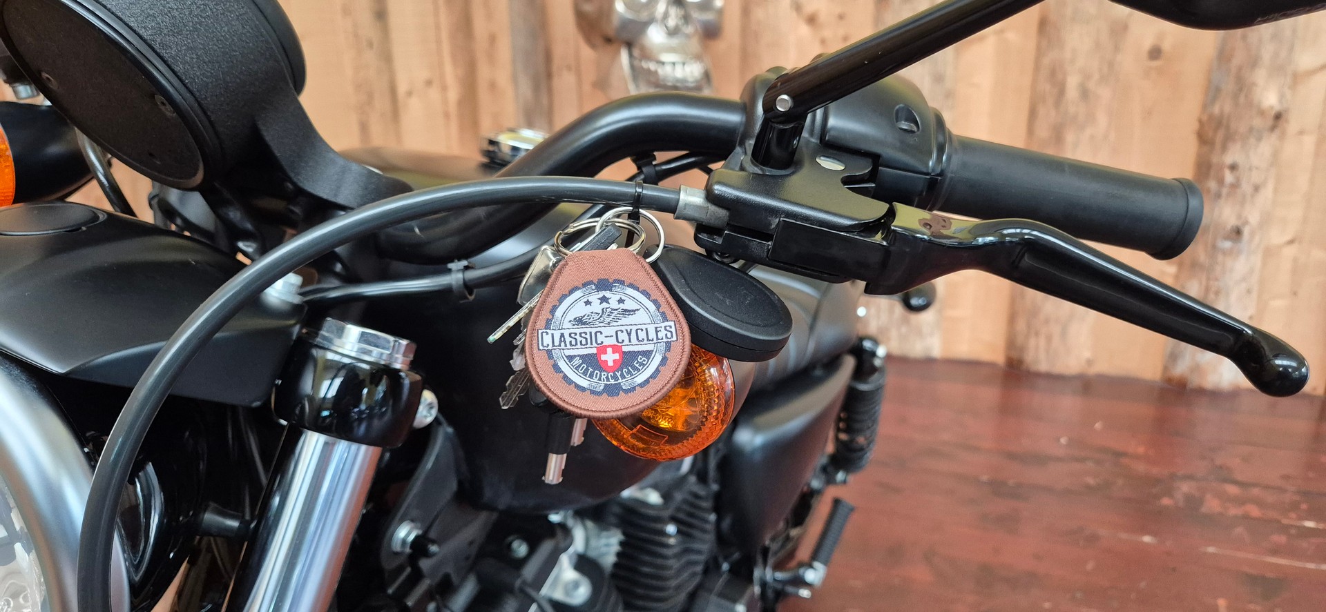 HARLEY-DAVIDSON Iron-image-11