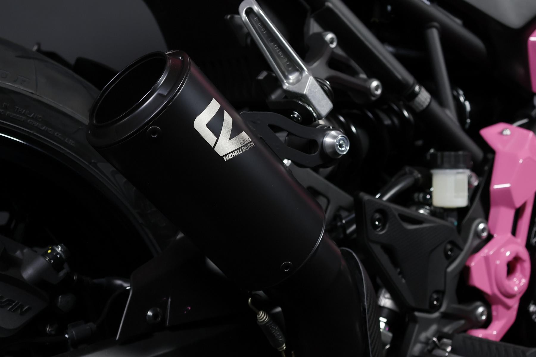 KAWASAKI Z 900 (91/70/35 KW) *Barbie Edition* Level 3-image-6