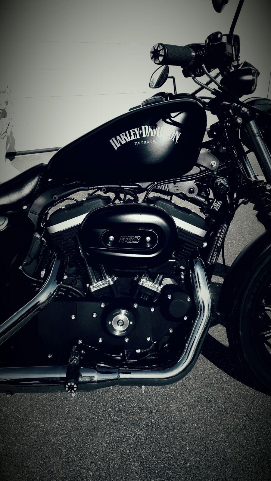 HARLEY-DAVIDSON XL 883 N Sportster Iron-image-5