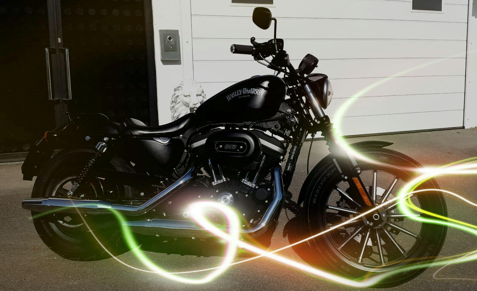 HARLEY-DAVIDSON XL 883 N Sportster Iron-image-0