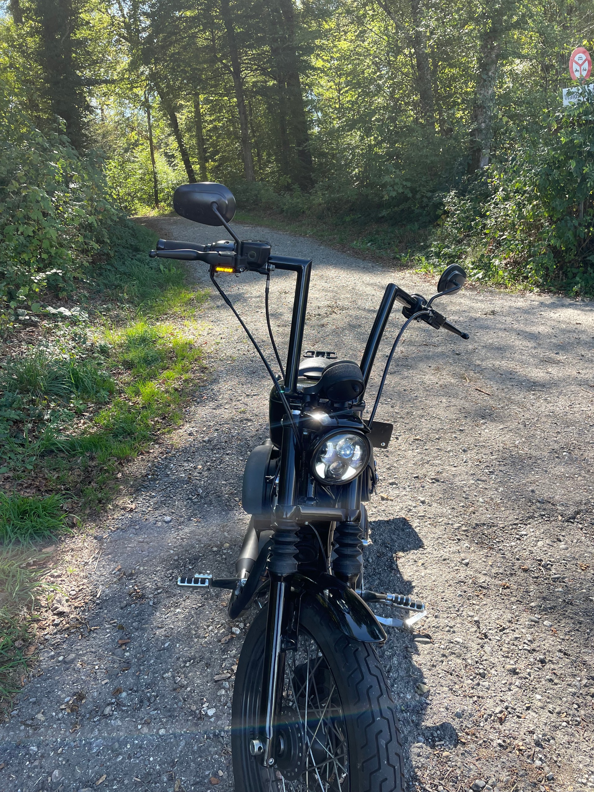 HARLEY-DAVIDSON XL 1200 N Sportster Nightster-image-7