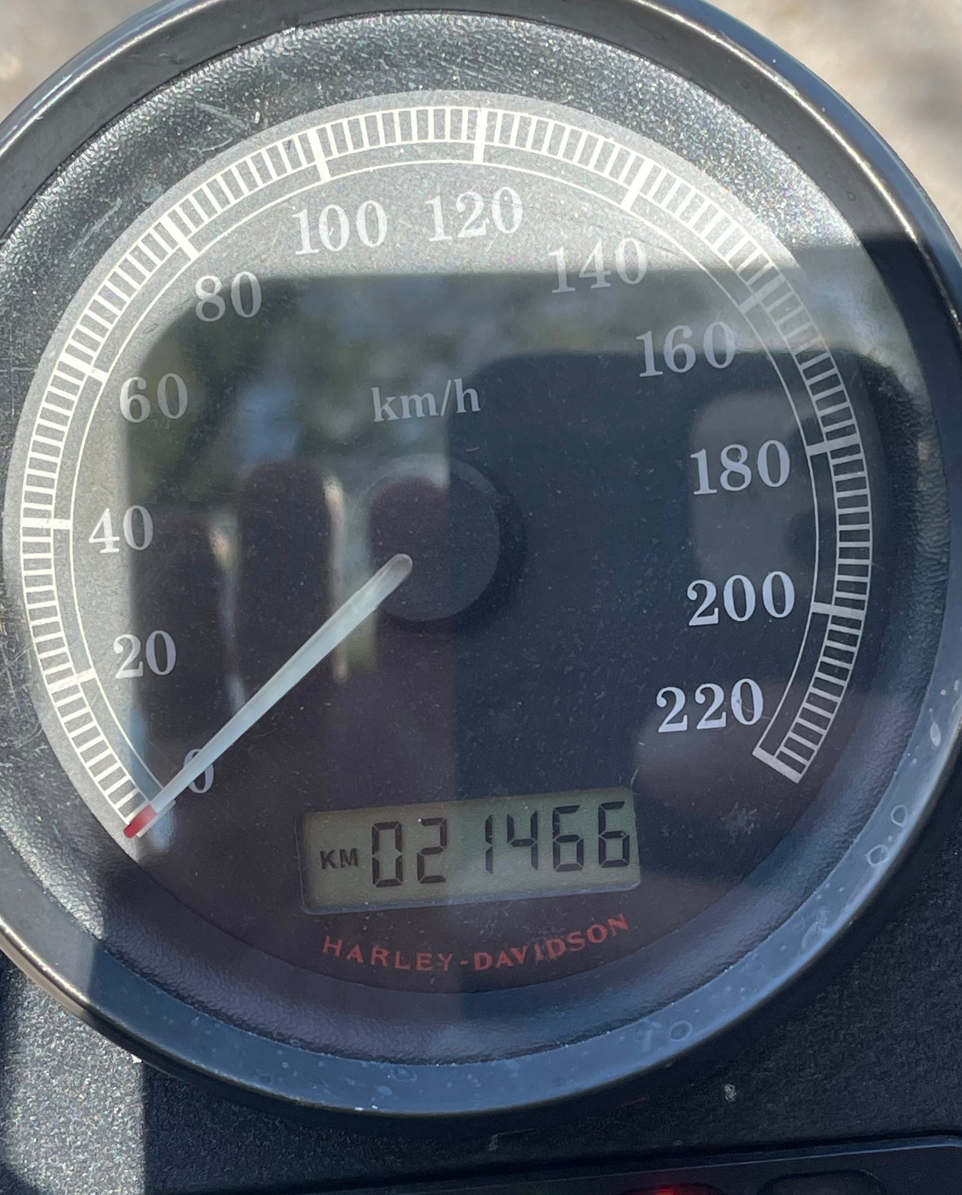 HARLEY-DAVIDSON XL 1200 N Sportster Nightster-image-4