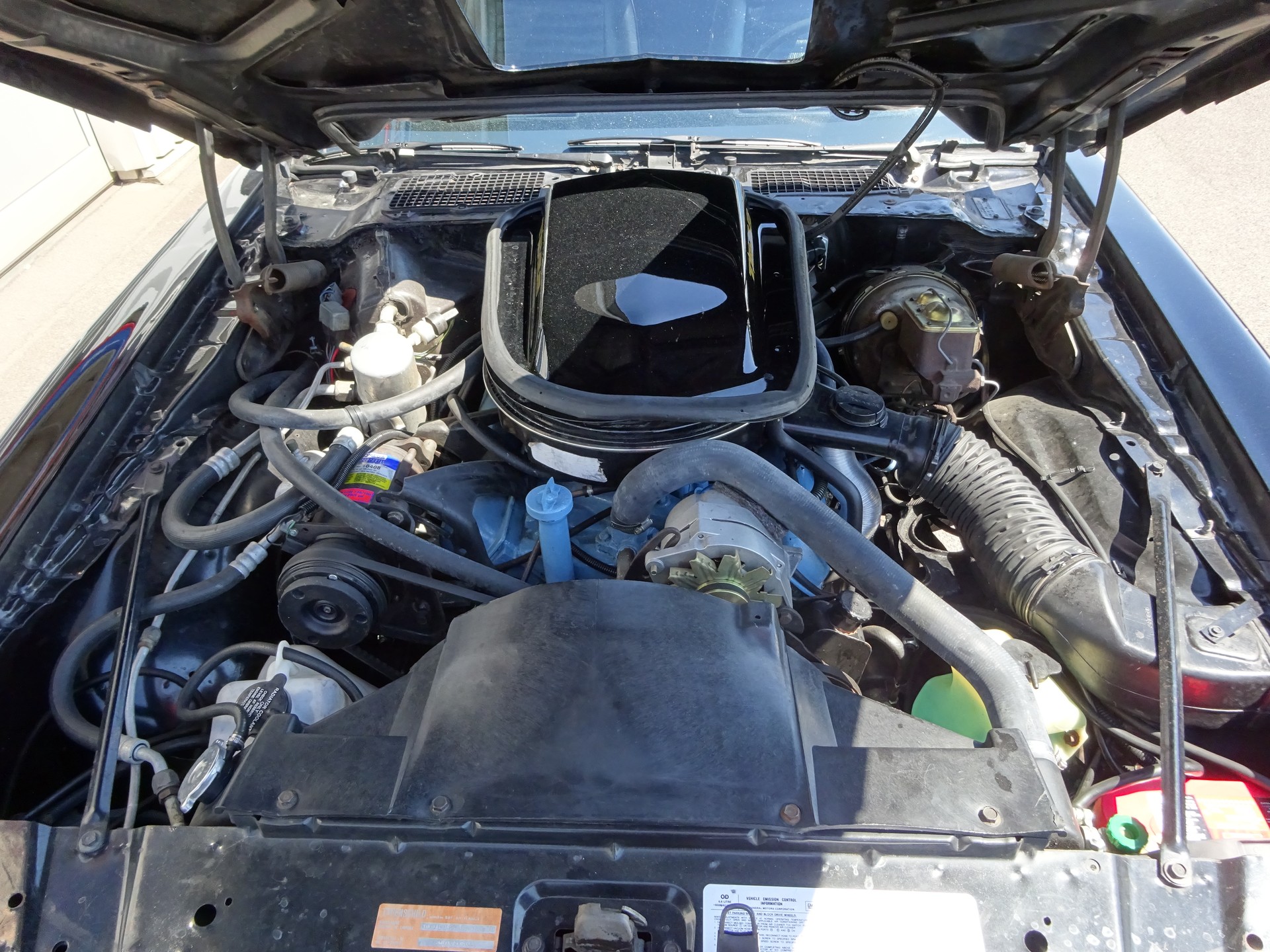 PONTIAC Trans Am Targa WS6-image-10