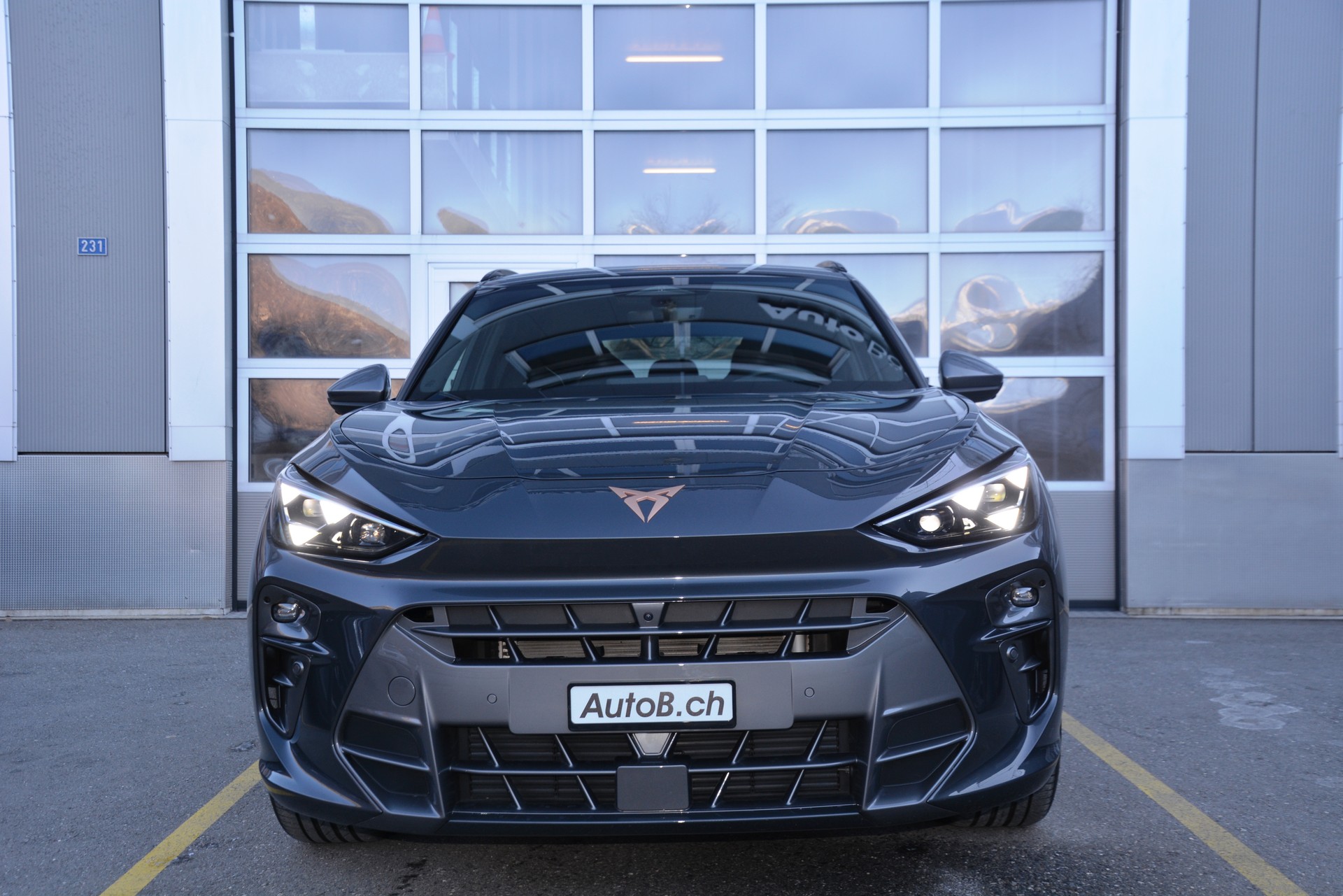 CUPRA Terramar 2.0 TSI DSG 4Drive-image-2