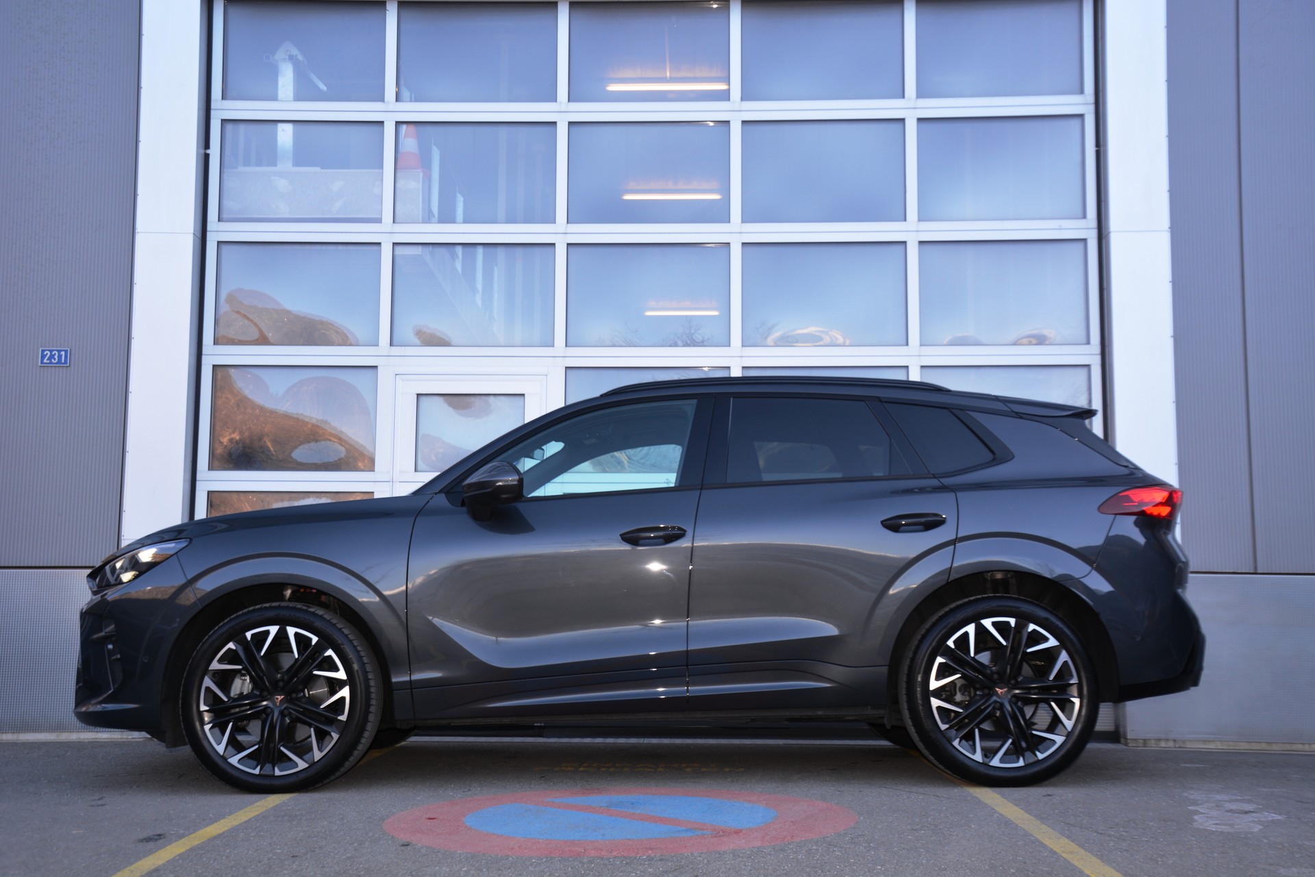 CUPRA Terramar 2.0 TSI DSG 4Drive-image-3