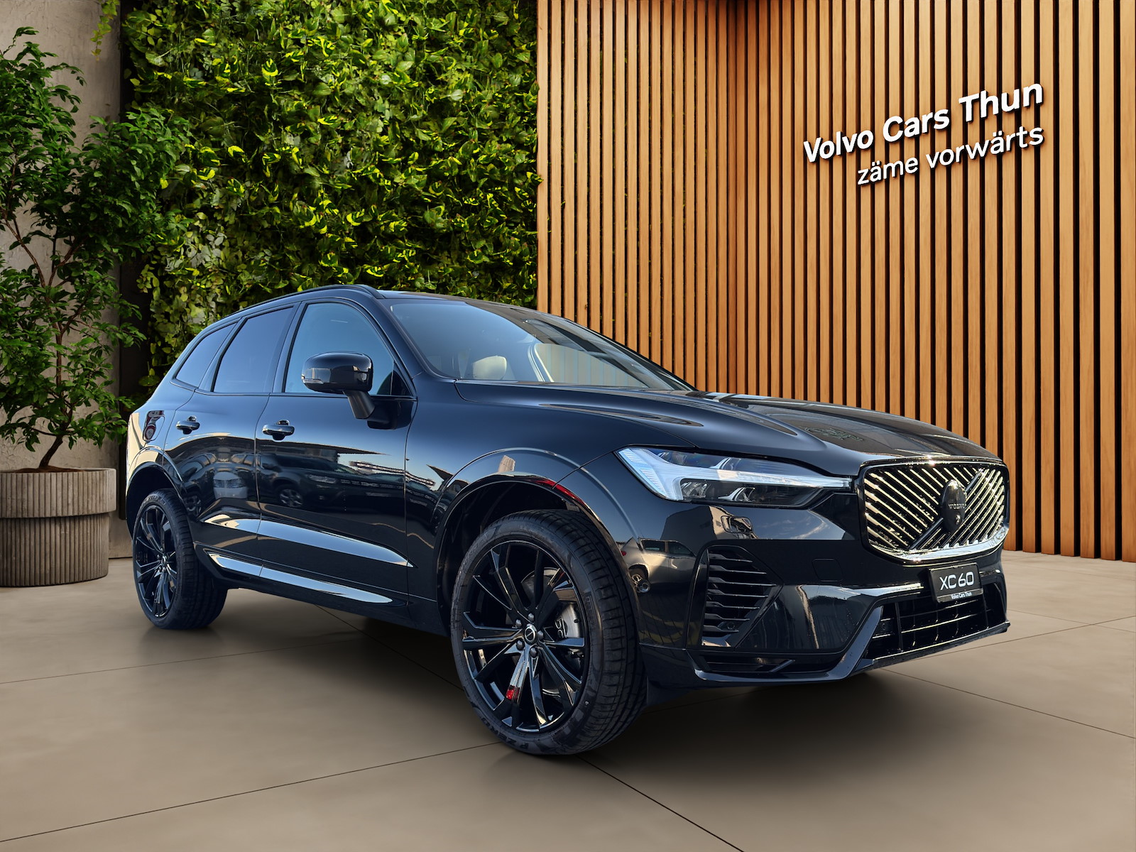 VOLVO XC60 2.0 T8 TE Black Edition eAWD-showroom-element-2
