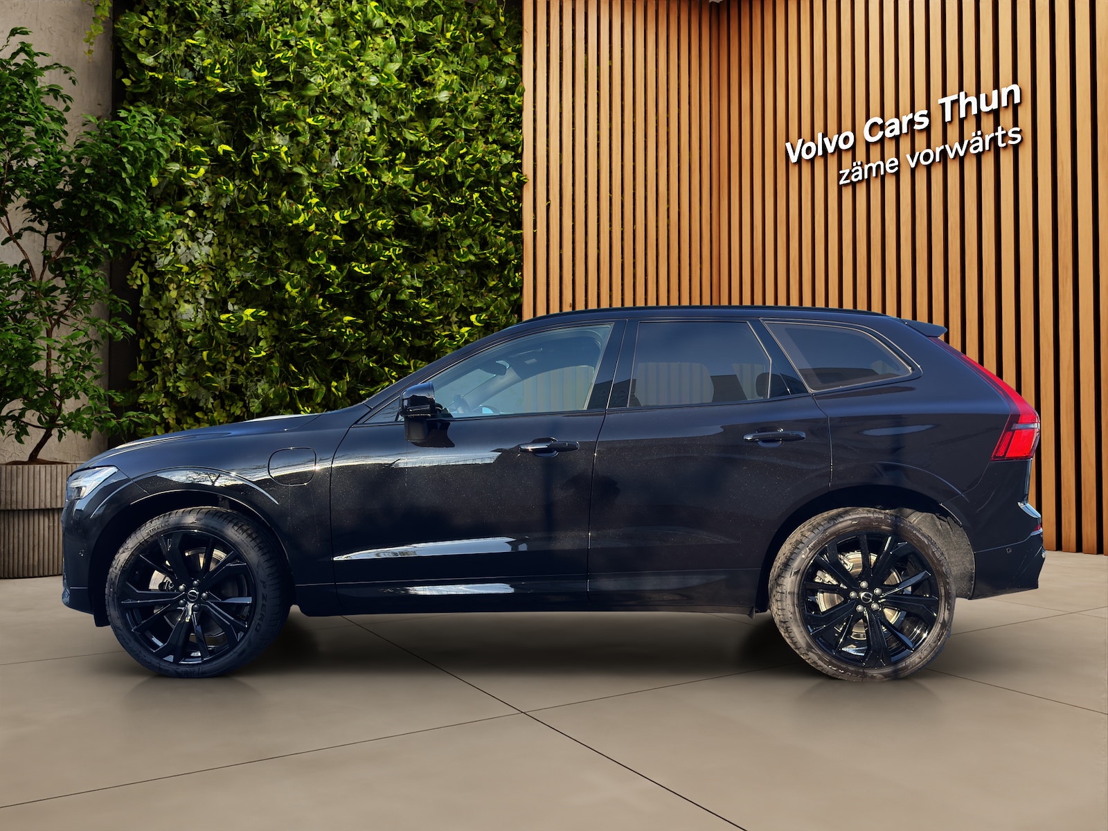 VOLVO XC60 2.0 T8 TE Black Edition eAWD-image-4