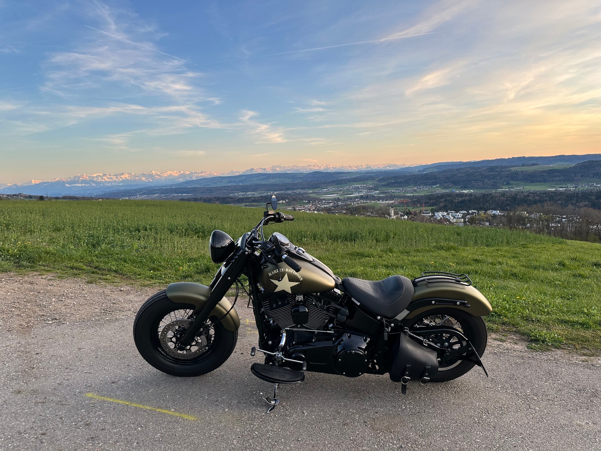HARLEY-DAVIDSON FLSS Softail Slim S110 ABS-image-3