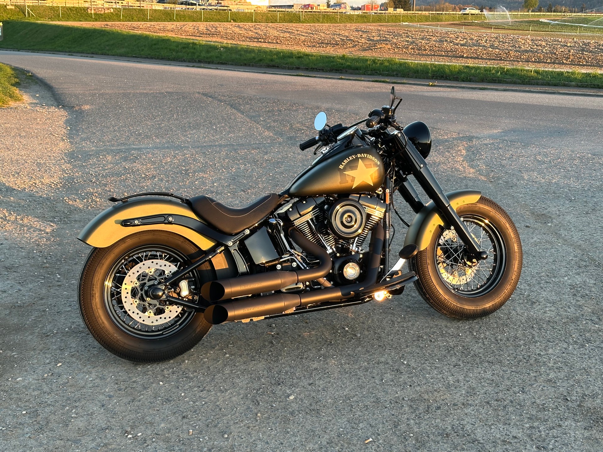HARLEY-DAVIDSON FLSS Softail Slim S110 ABS-image-2