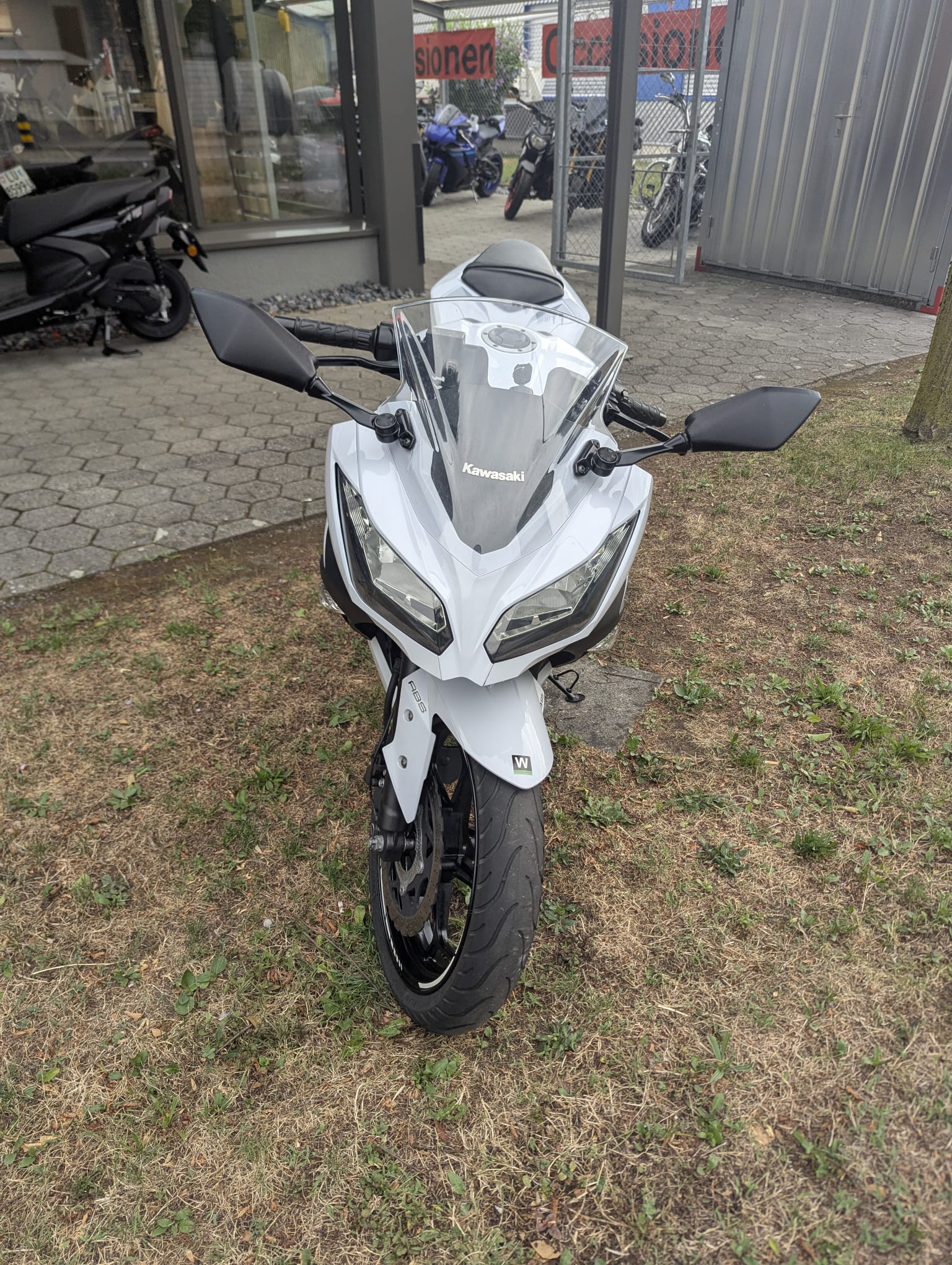 KAWASAKI Ninja 300 ABS-image-3
