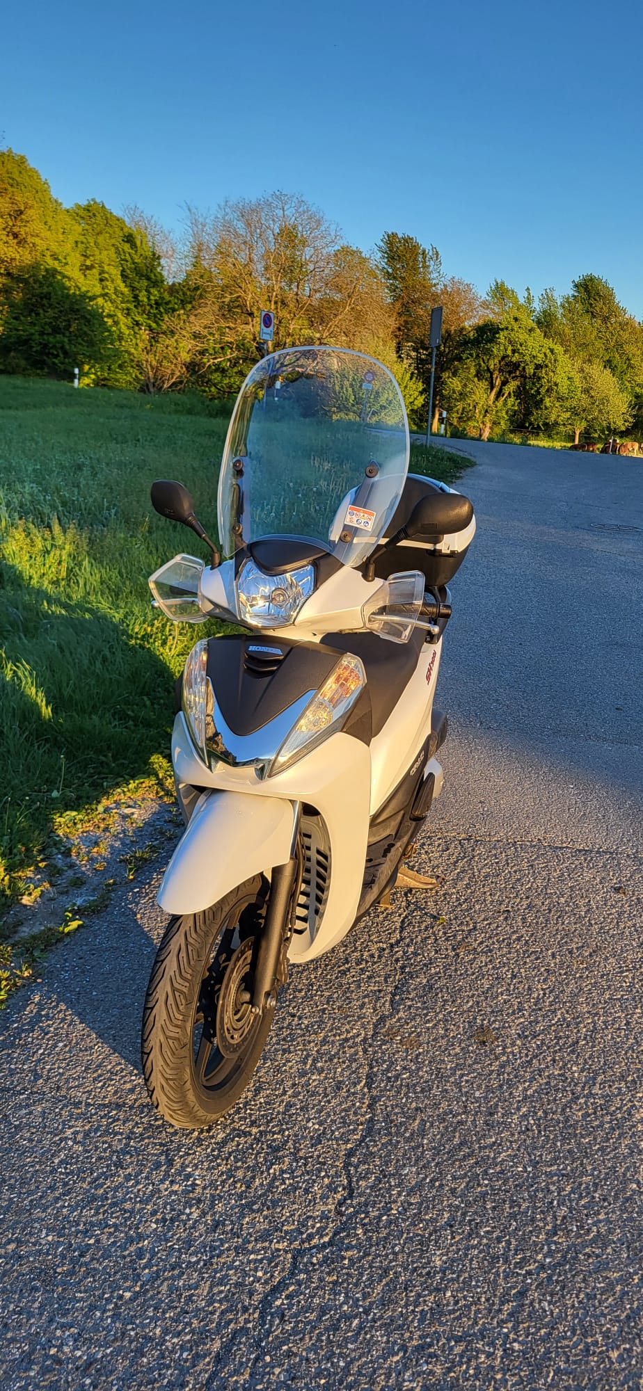 HONDA SH-image-3