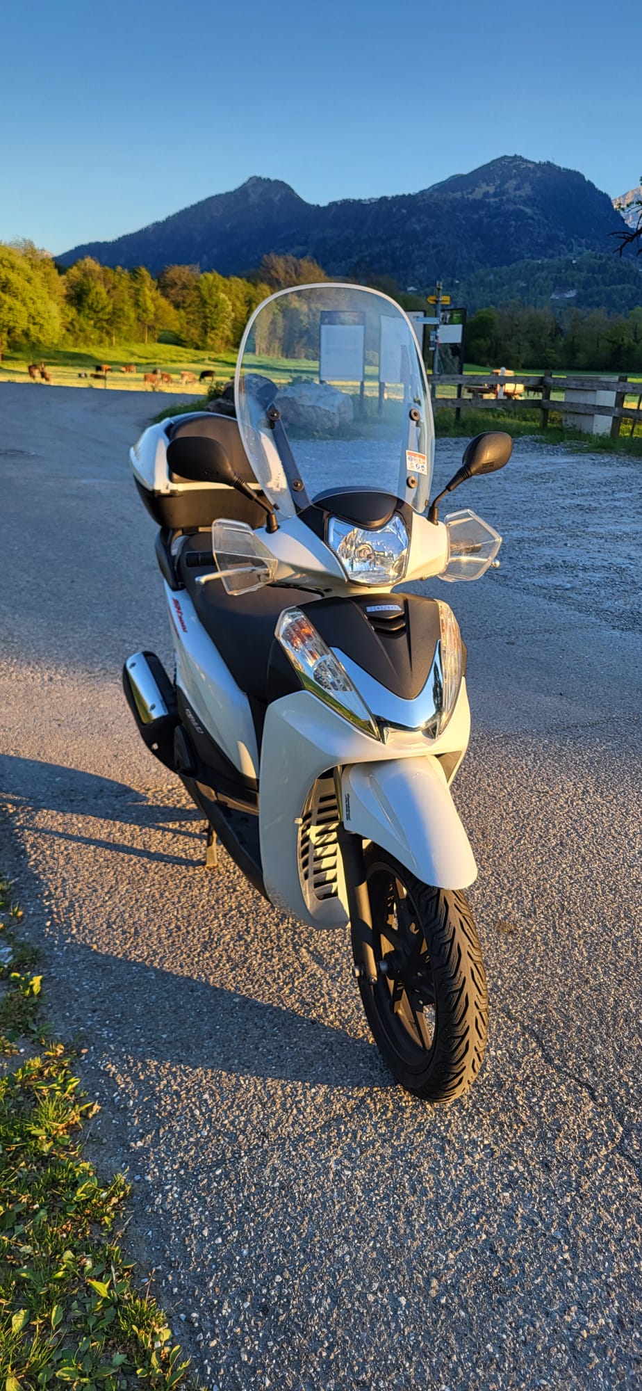 HONDA SH-image-2