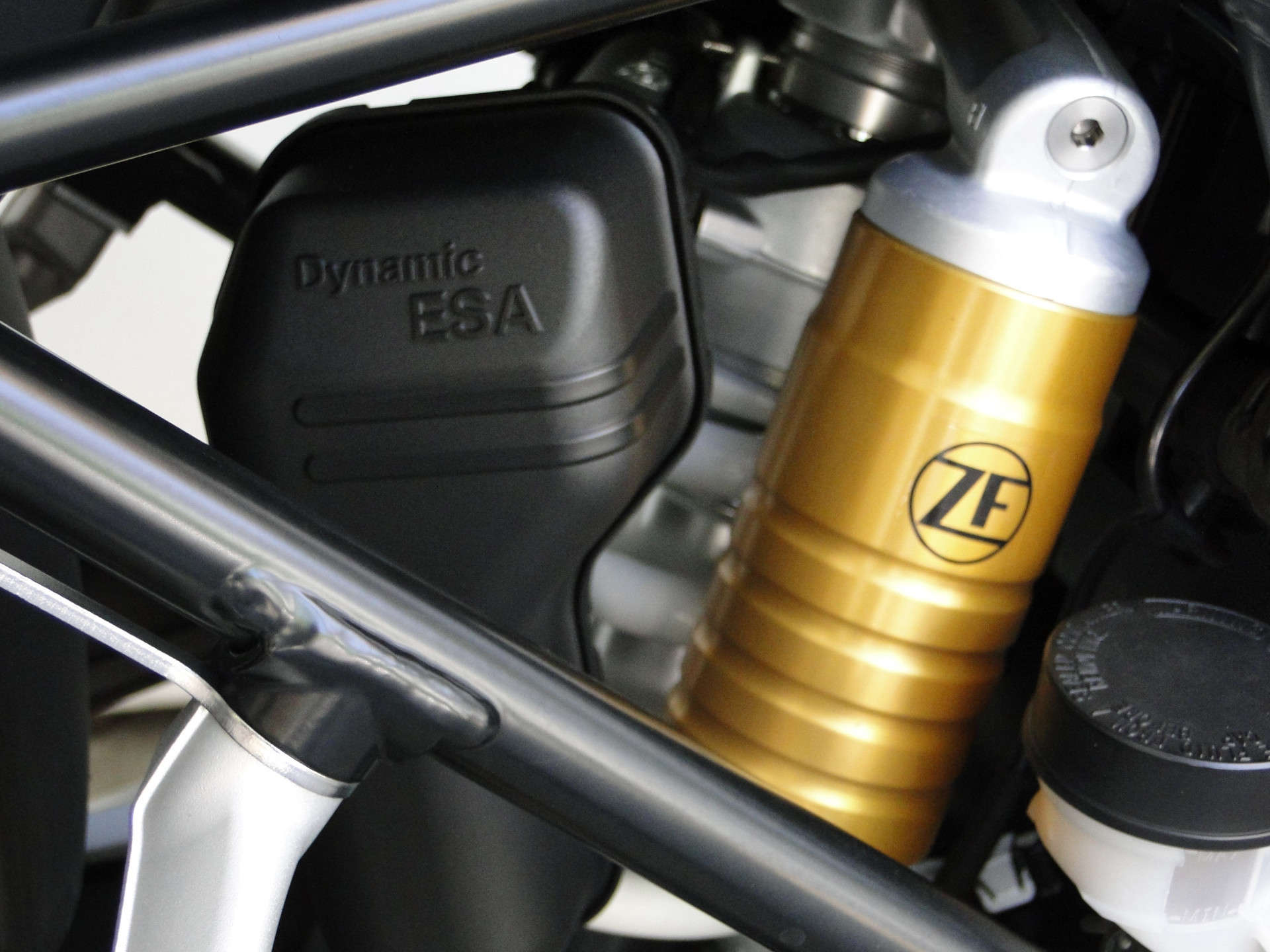 BMW R 1250 GS Adventure Akrapovic & Seitenkoffer-image-8
