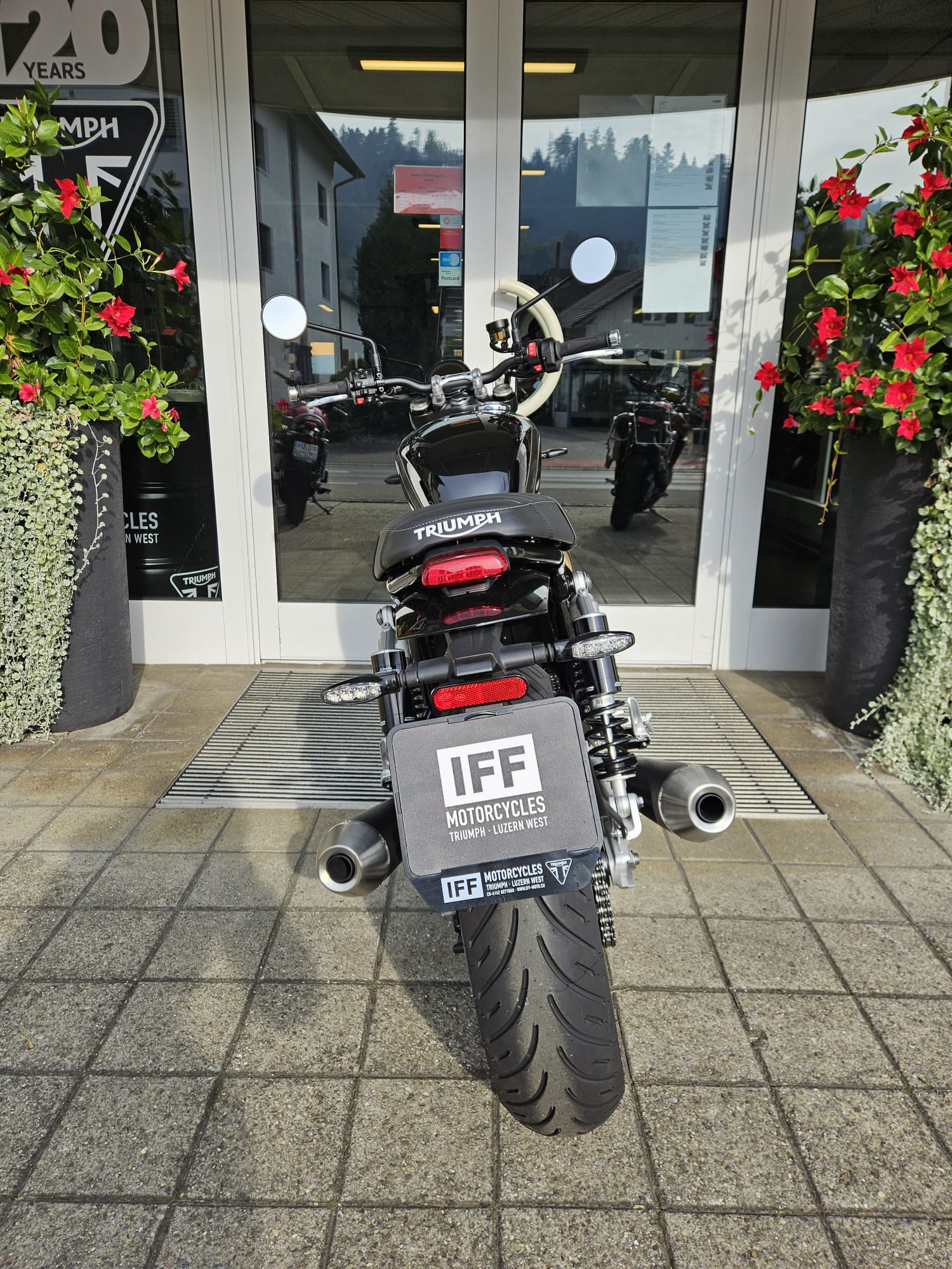 TRIUMPH Speed Twin 900-image-6