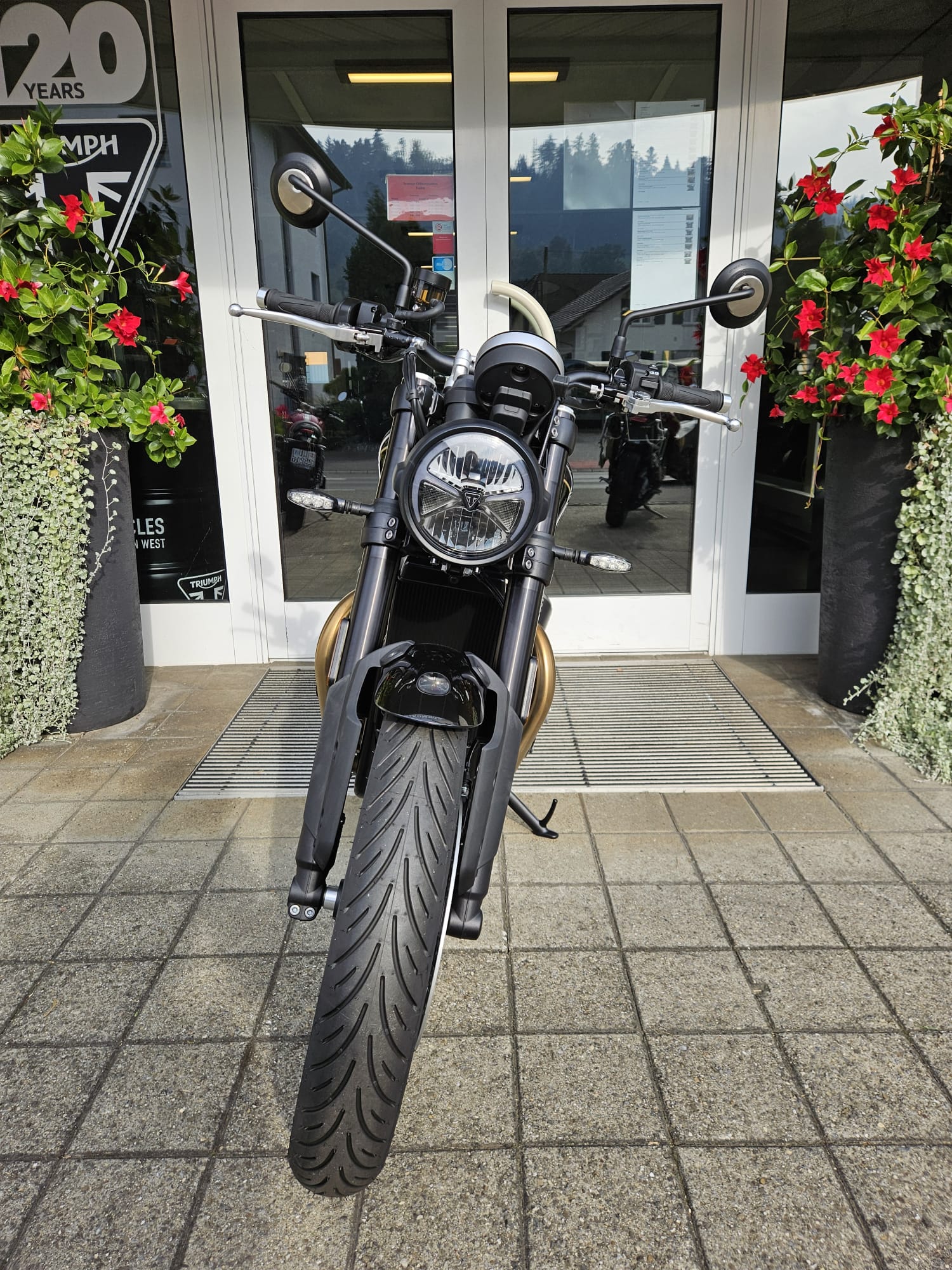 TRIUMPH Speed Twin 900-image-5