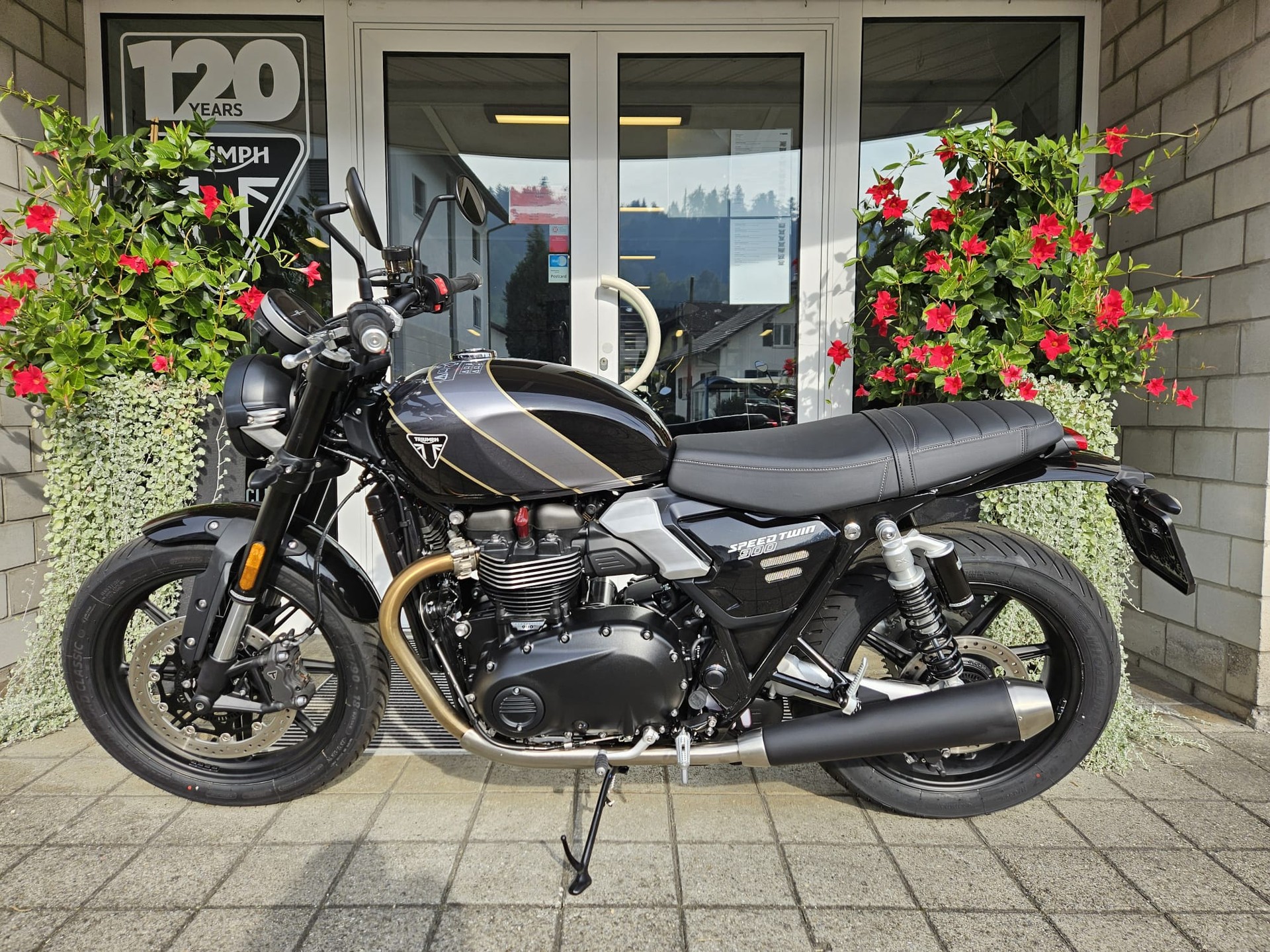 TRIUMPH Speed Twin 900-image-4
