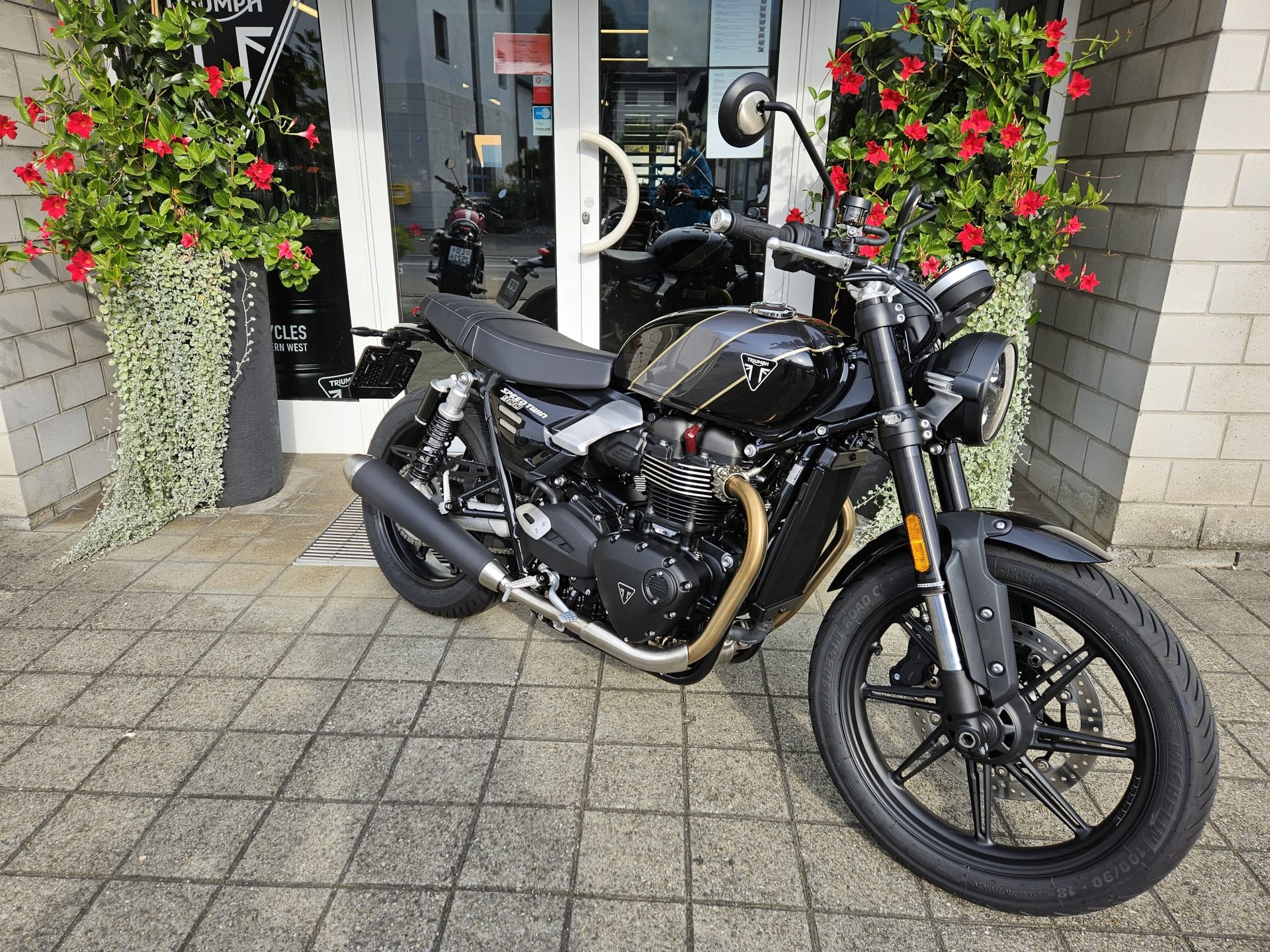 TRIUMPH Speed Twin 900-image-2