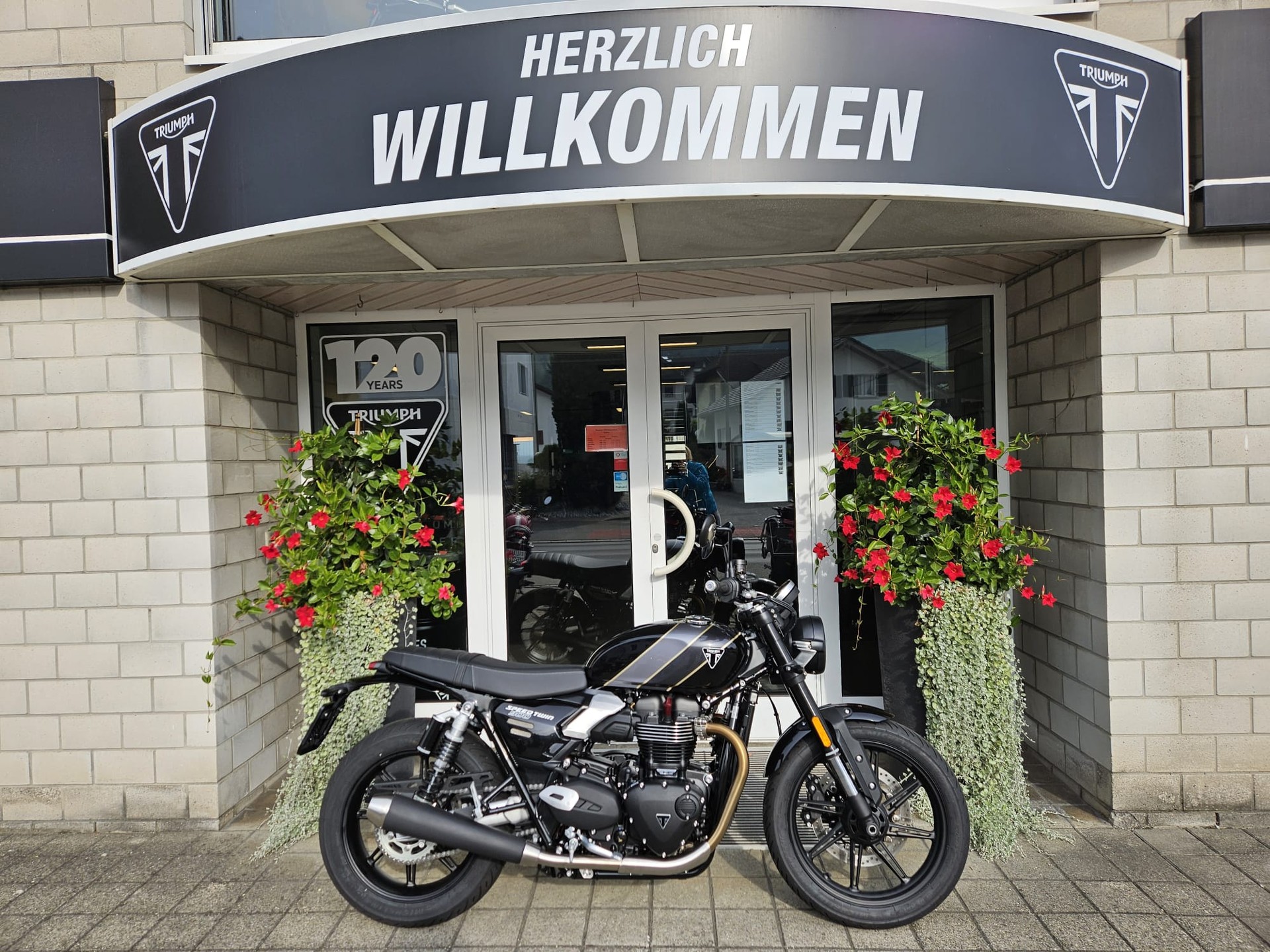 TRIUMPH Speed Twin 900-image-1