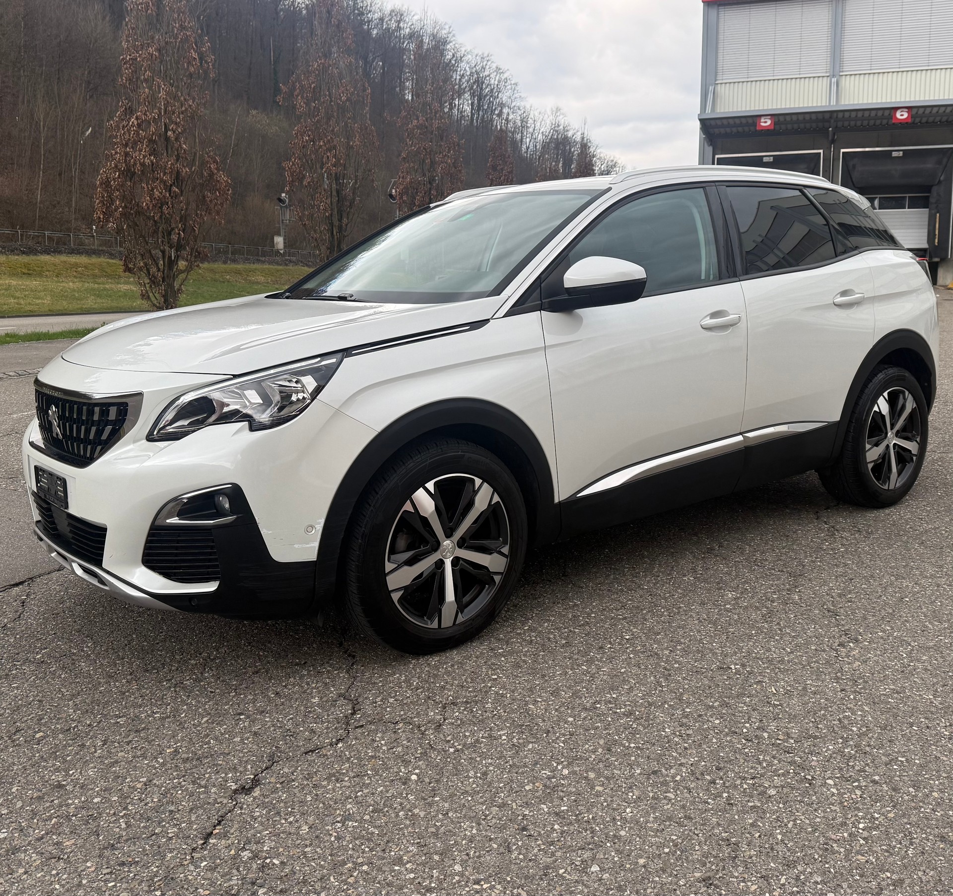 PEUGEOT 3008-image-1