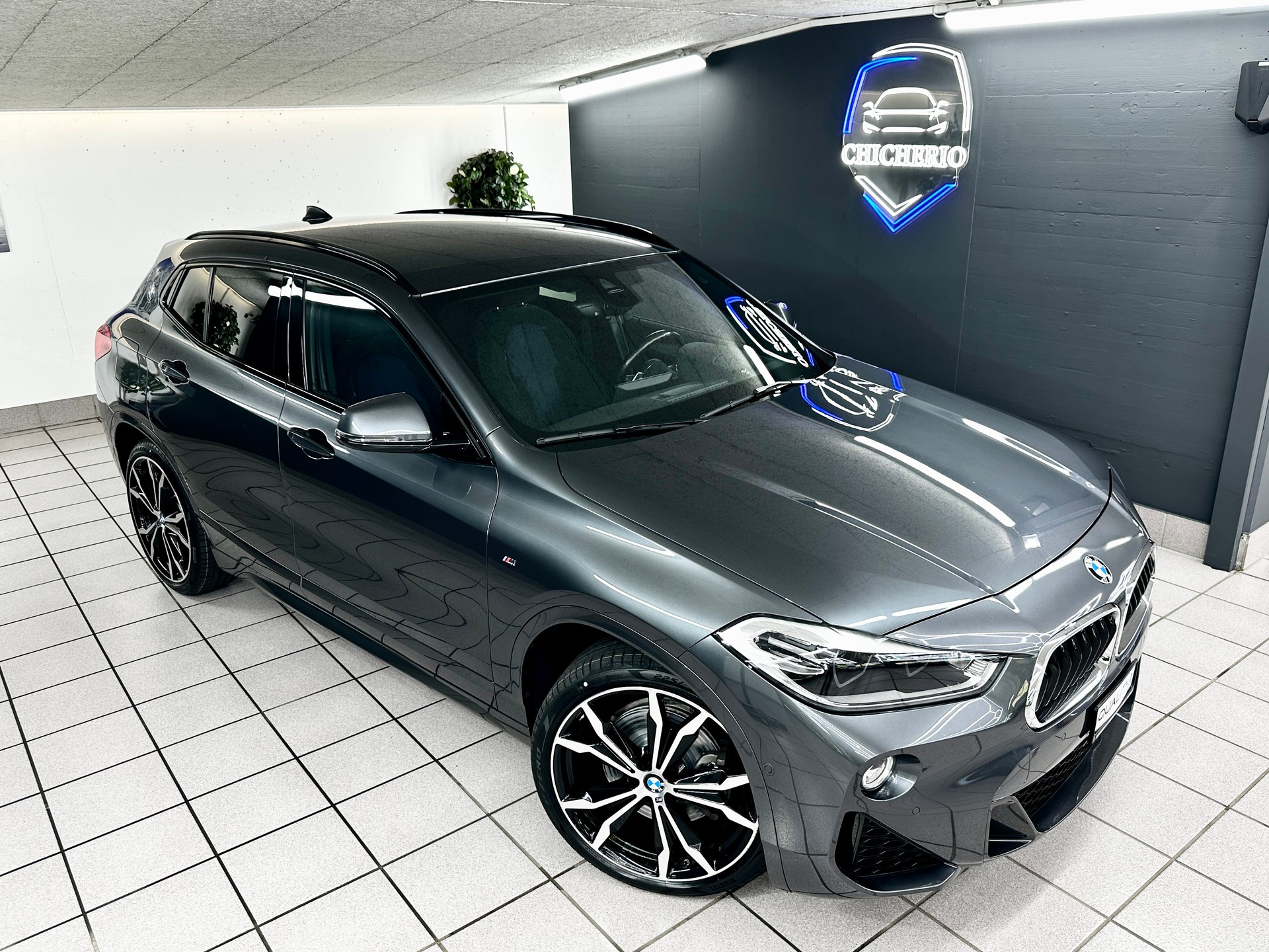 BMW X2 xDrive 20d M Sport Steptronic-showroom-element-1