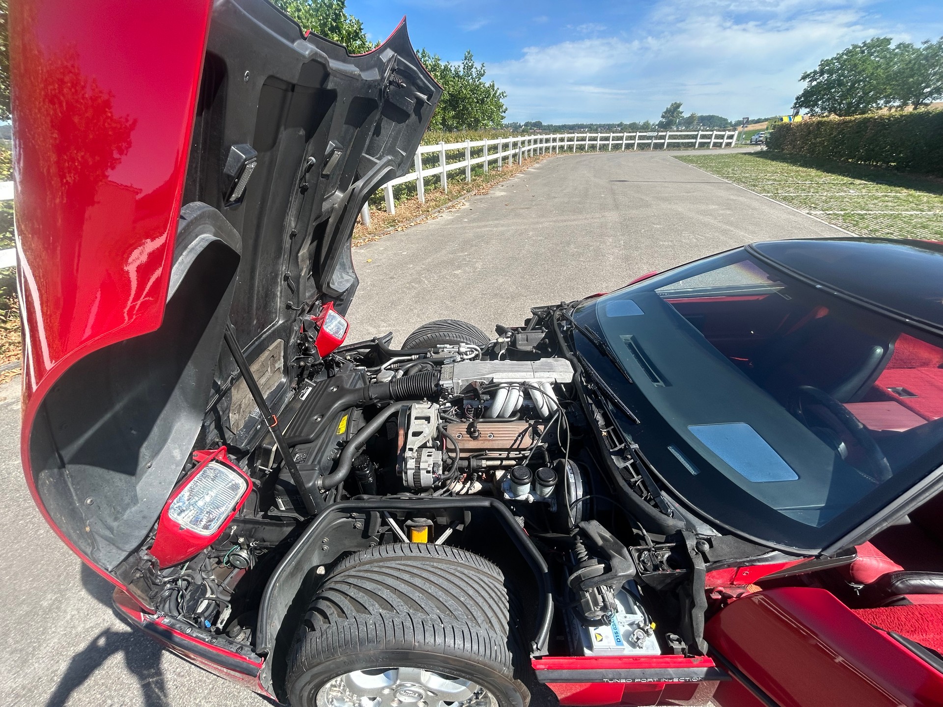 CHEVROLET CORVETTE-image-13