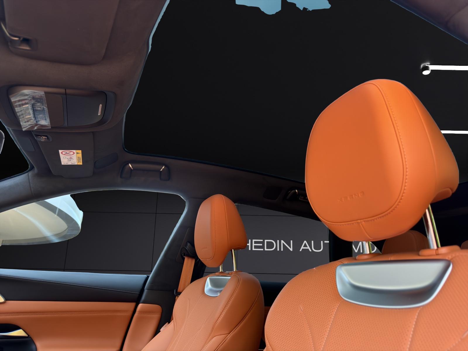 XPENG G9 Performance AWD-image-14