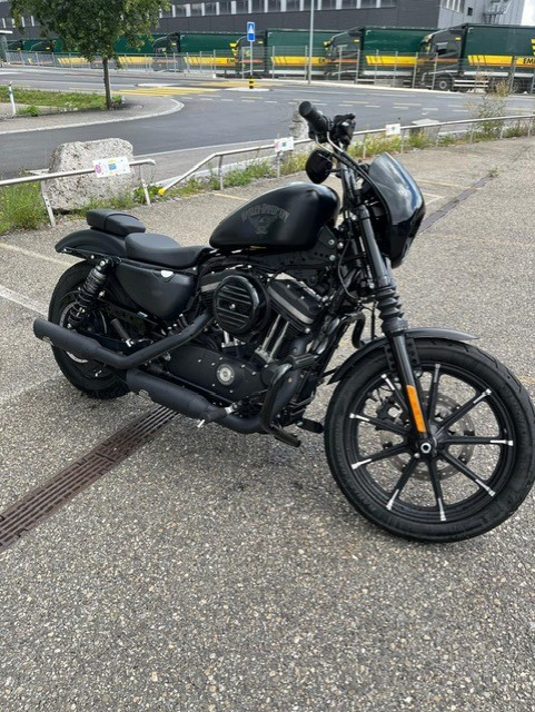 HARLEY-DAVIDSON XL 883 N Sportster Iron ABS-image-2