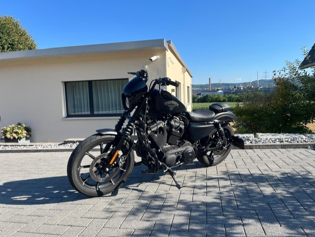 HARLEY-DAVIDSON XL 883 N Sportster Iron ABS-image-0