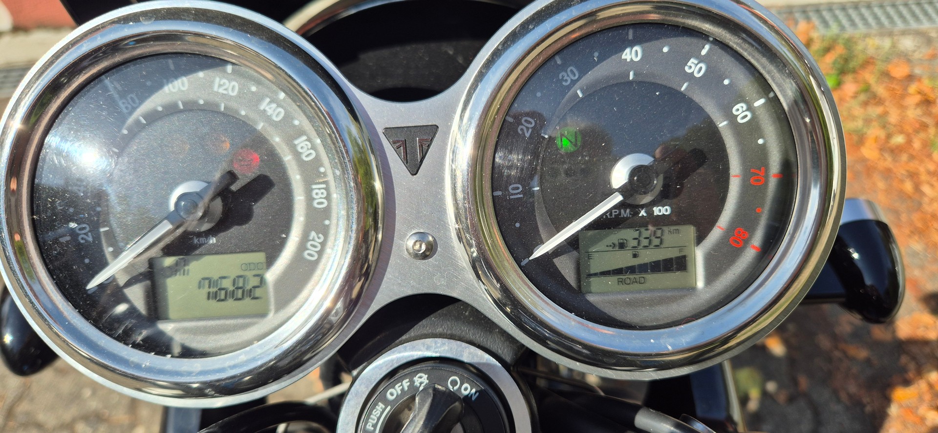 TRIUMPH T 120-image-1
