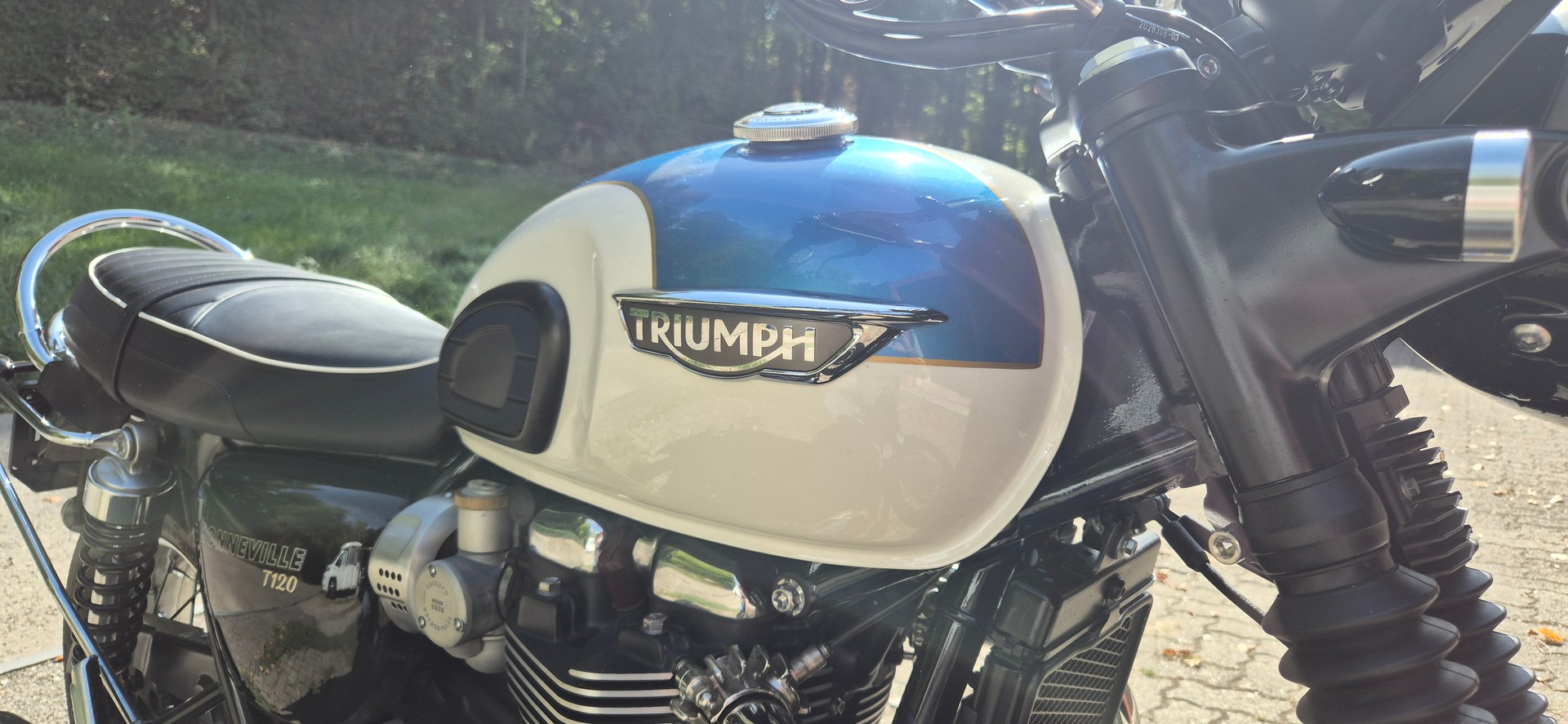 TRIUMPH T 120-image-6
