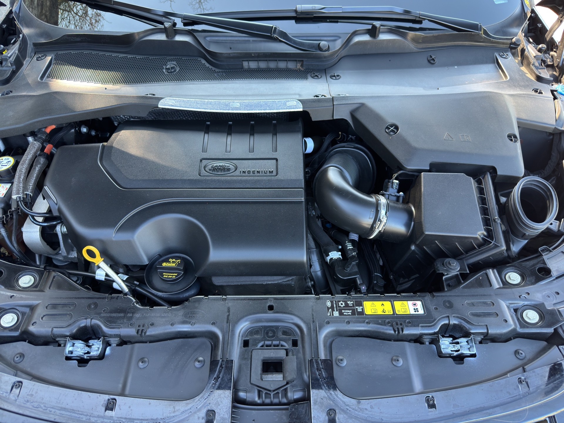 LAND ROVER Range Rover Evoque R-Dynamic P 250 SE AT9-image-16