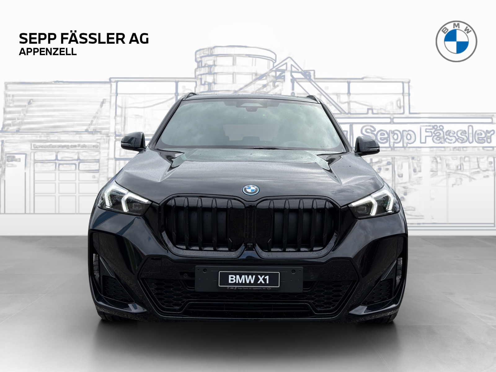 BMW X1 xDrive 30e M Sport Pro-image-7