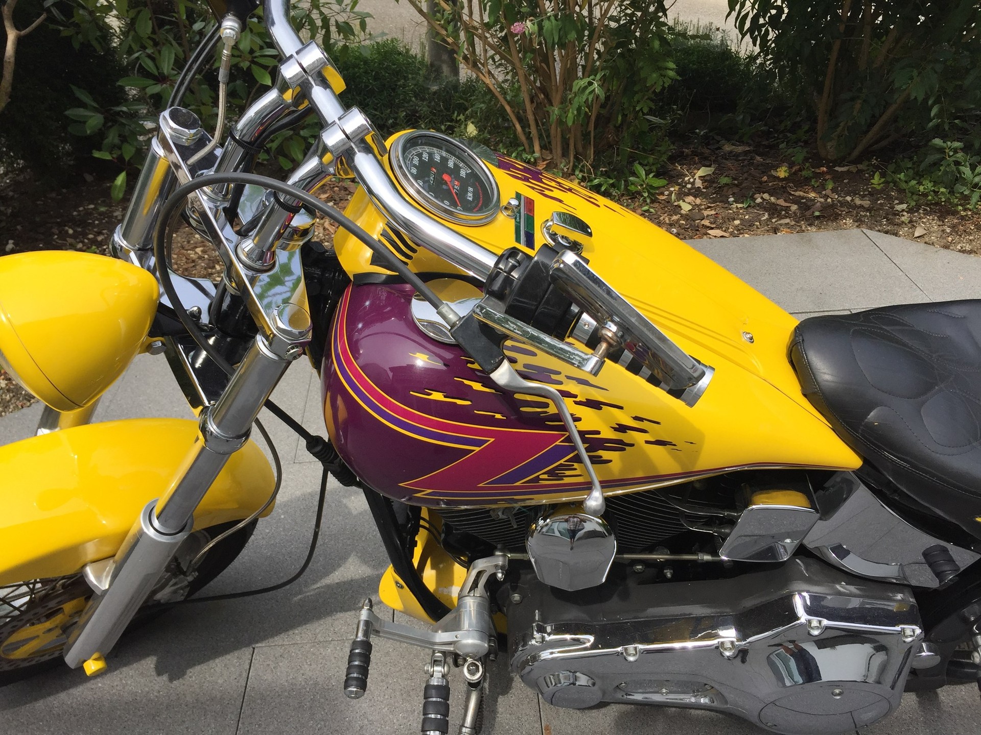 HARLEY-DAVIDSON Softail Custom Bike-image-4